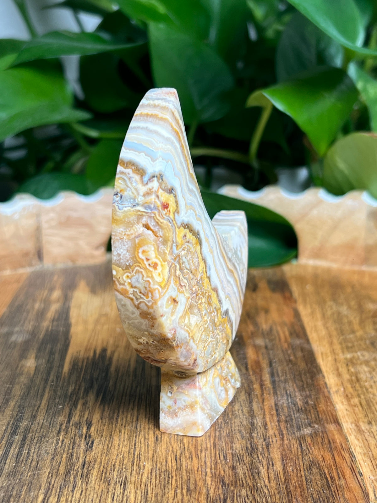 Crazy Lace Agate Self Standing Moon: BE
