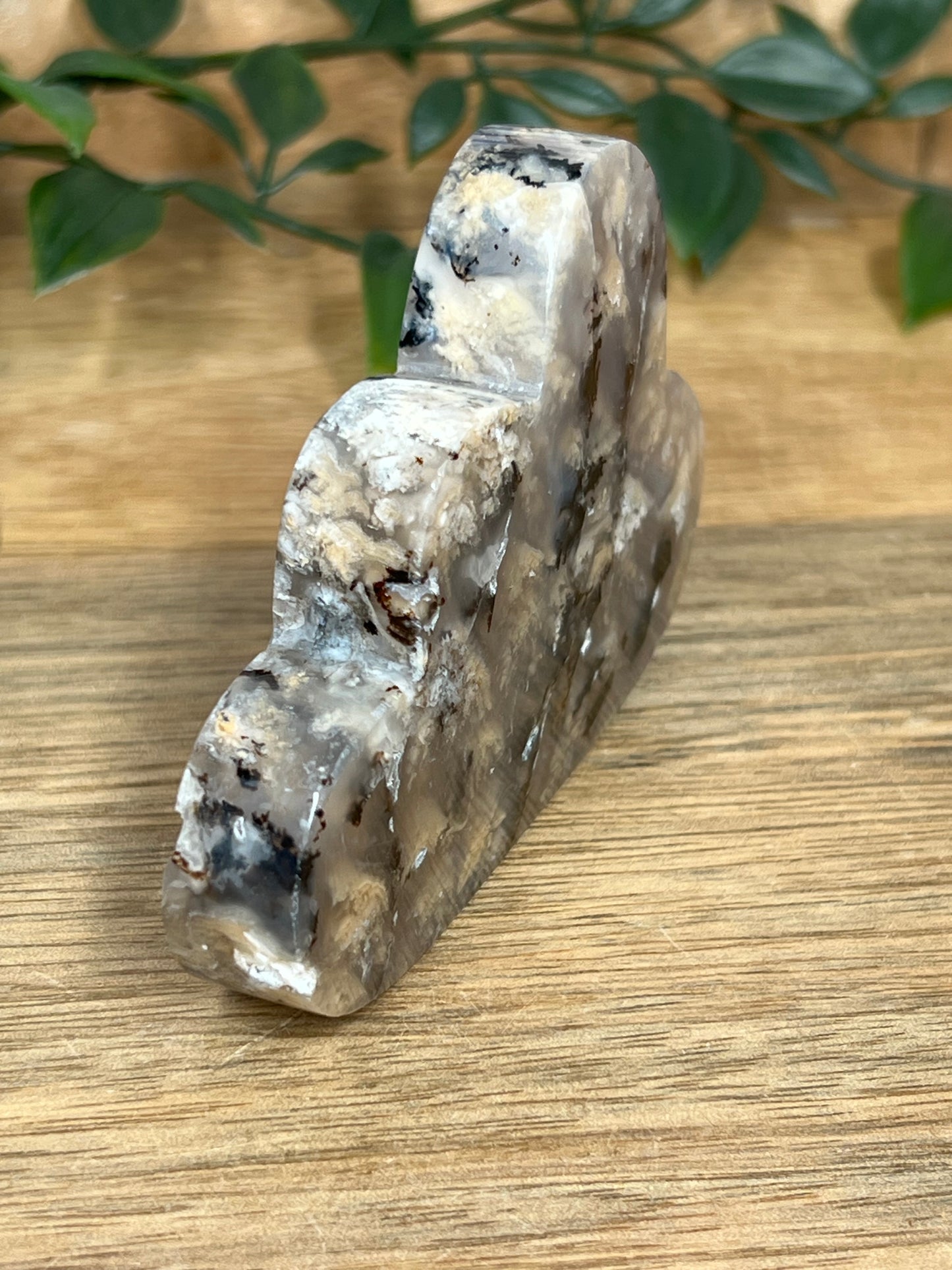 Dendritic Tiger Agate Cloud