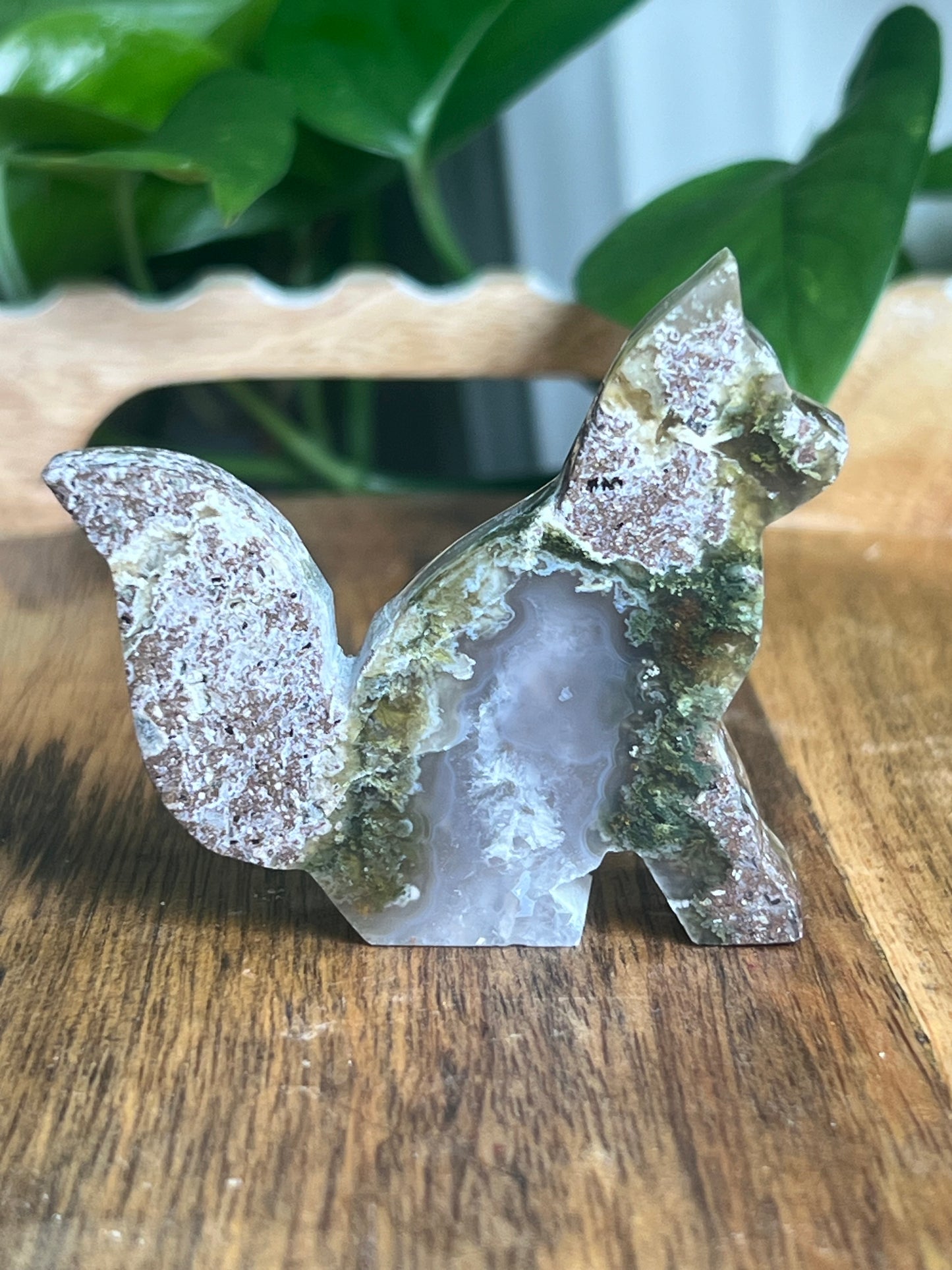 Scenic Moss Agate Fox PE
