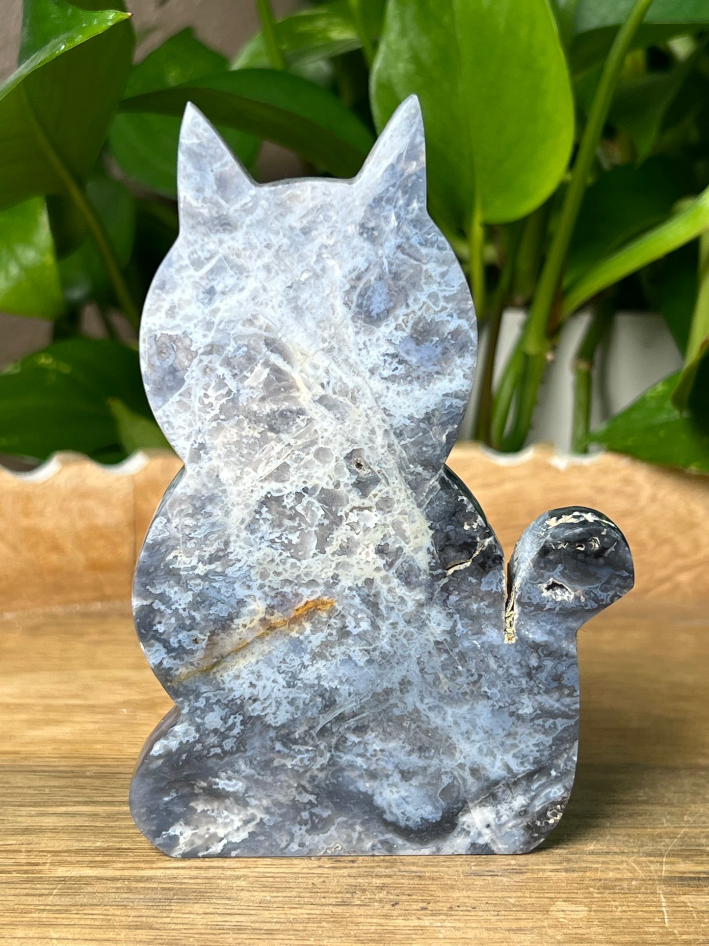 Blue Plume Agate Cat