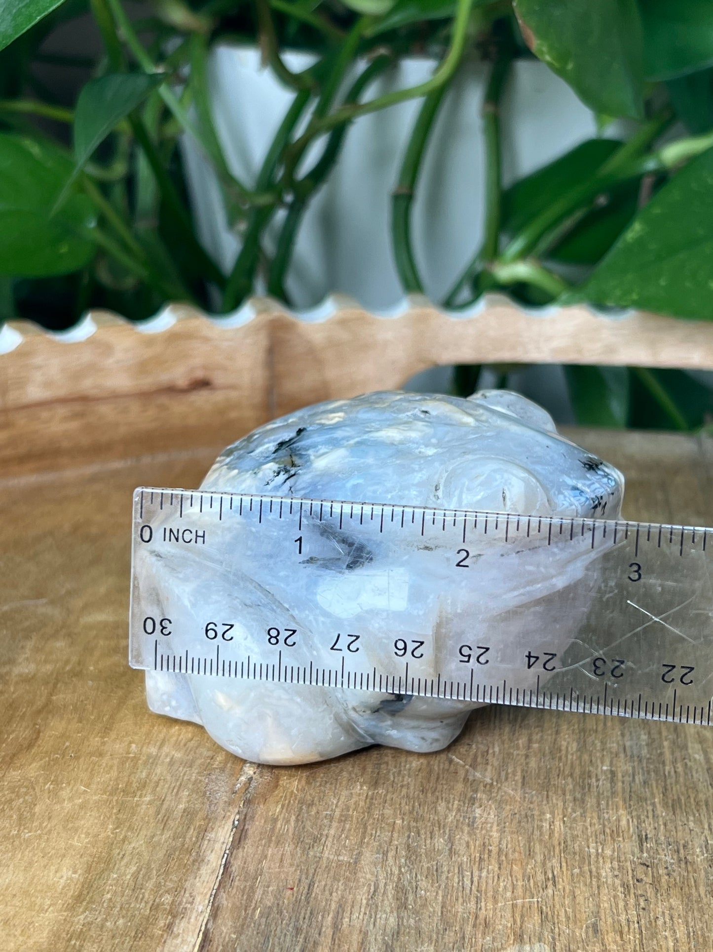 Dendritic Tiger Agate Frog