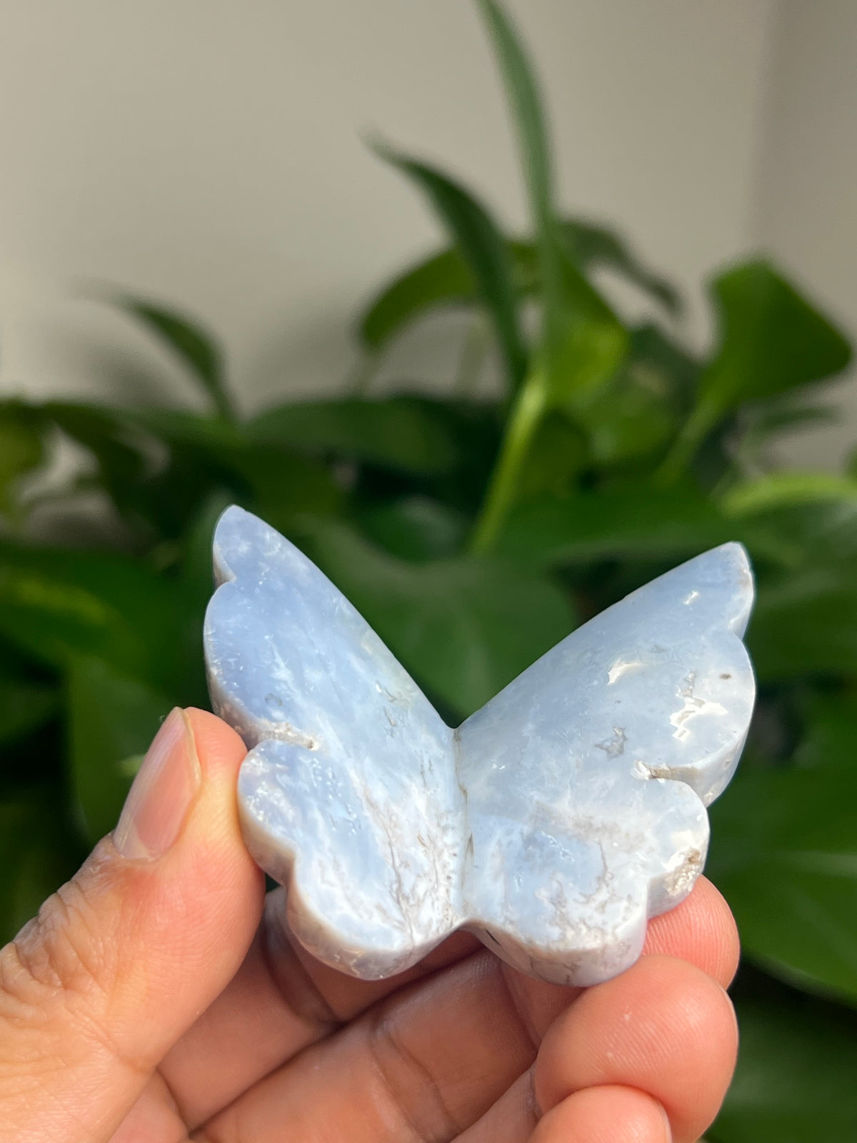 Blue Plume Agate 3D Butterfly: KB