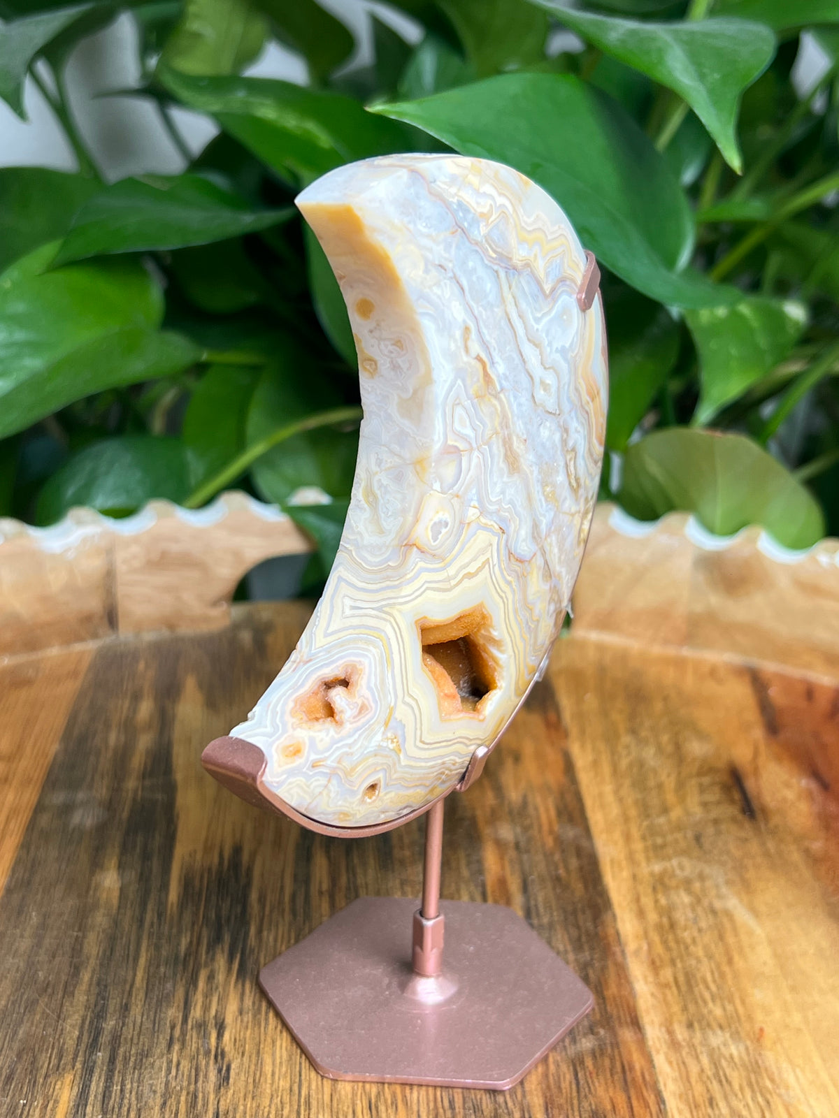Yellow Crazy Lace Agate Moon: ZA
