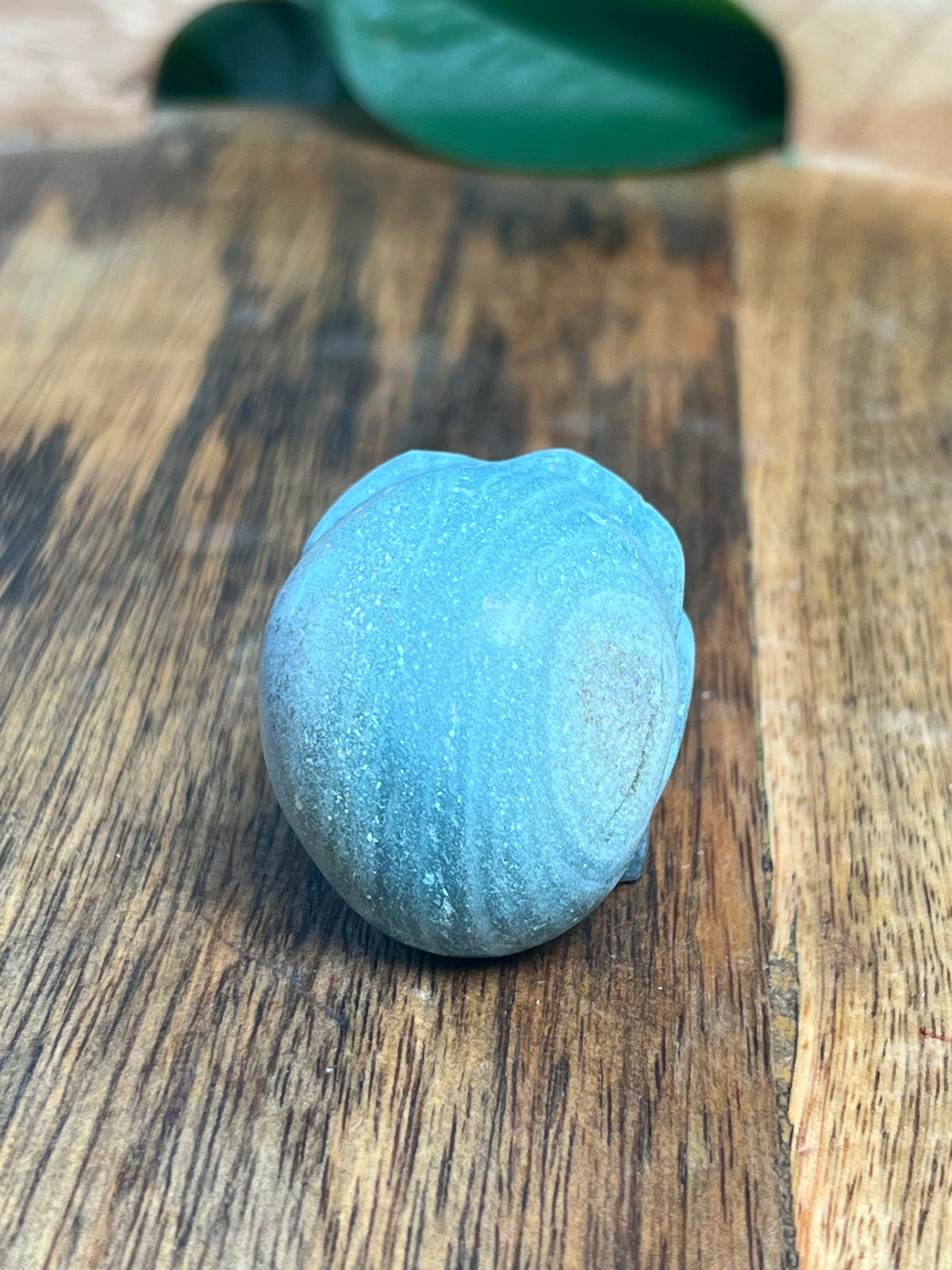 Blue Green Jasper Mini Skull: H
