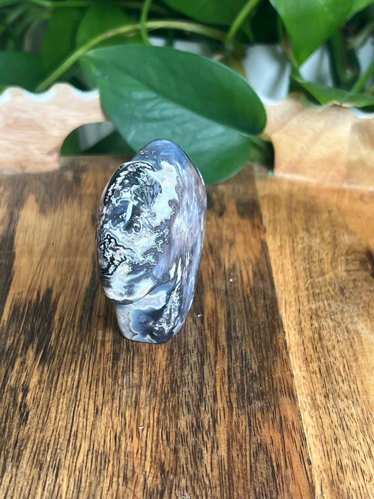Blue Plume Agate Buffalo: BE