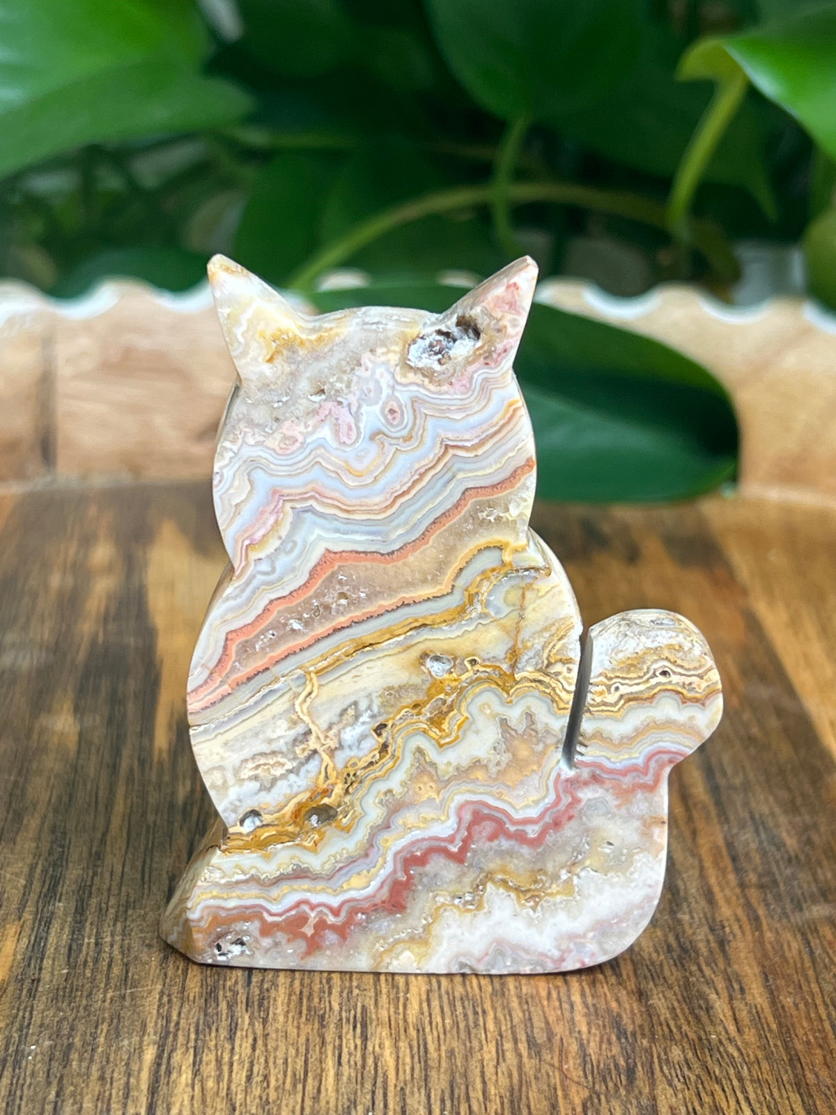 Crazy Lace Agate Cat: QE