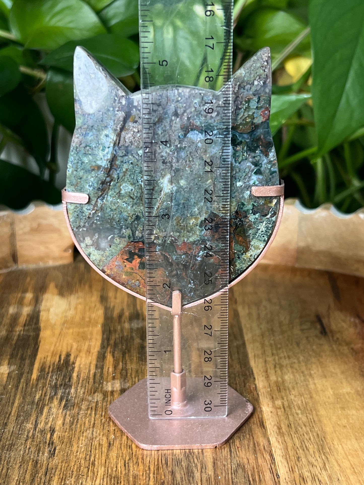 Mossy Jasper Cat