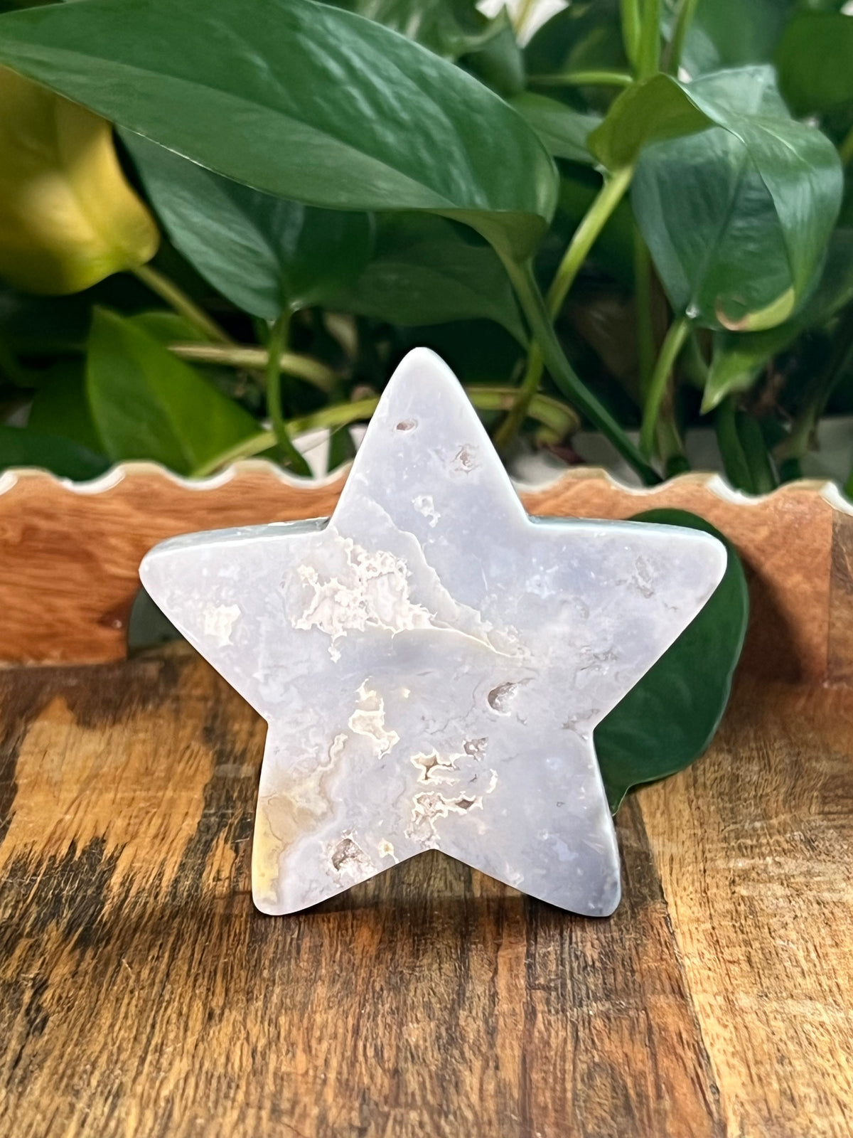 Blue Plume Agate Stars