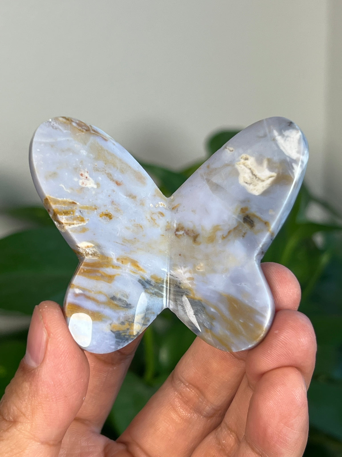 Milky River Jasper 3D Butterflies