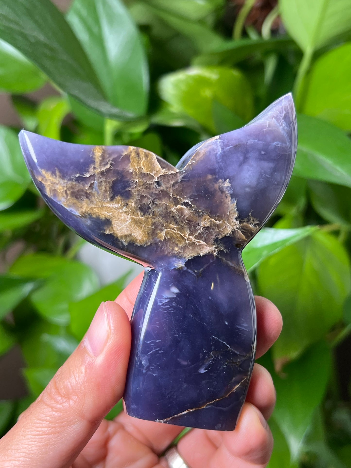 Purple Chalcedony Tail