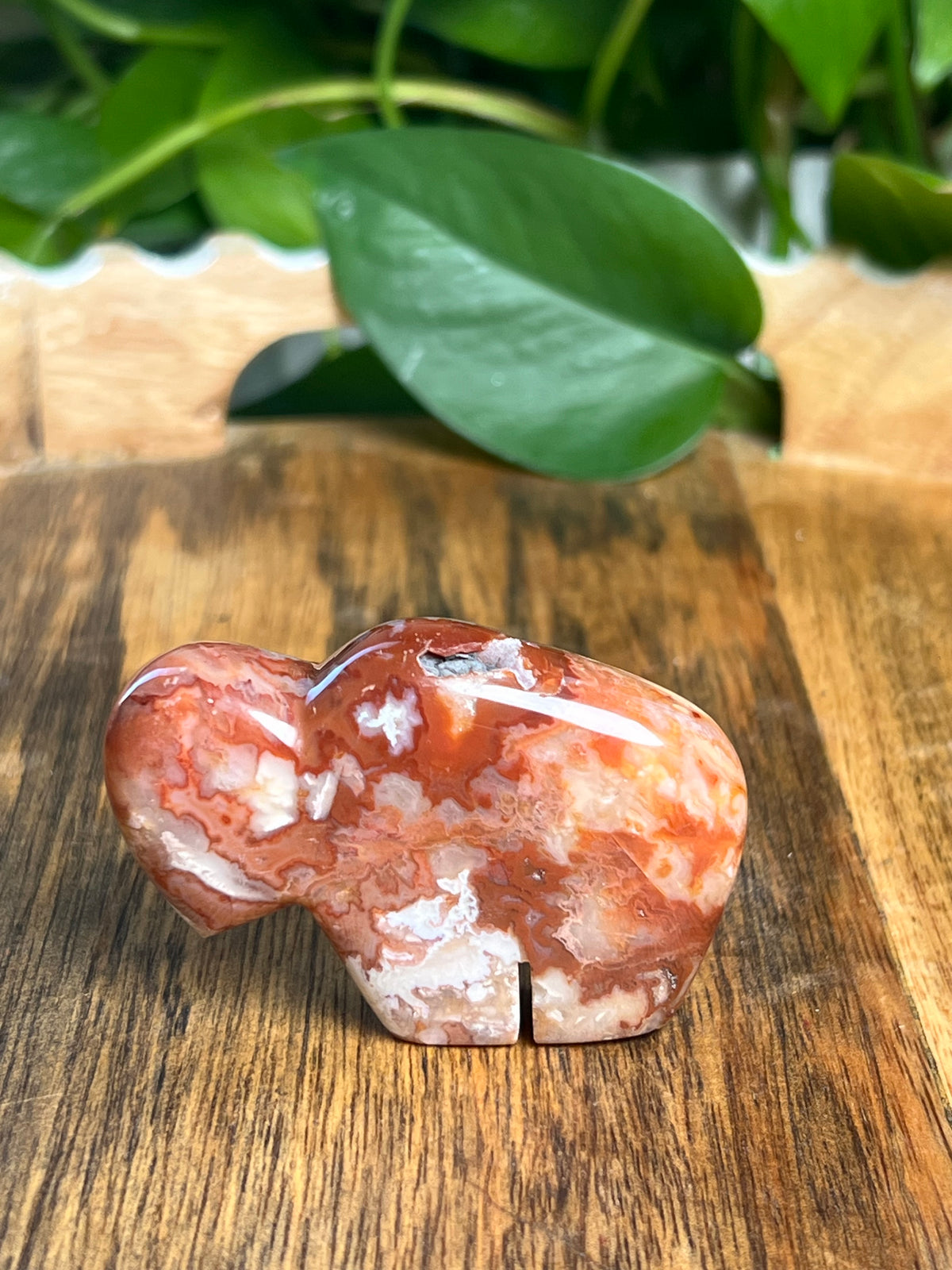 Carnelian Mini Buffalo: BG