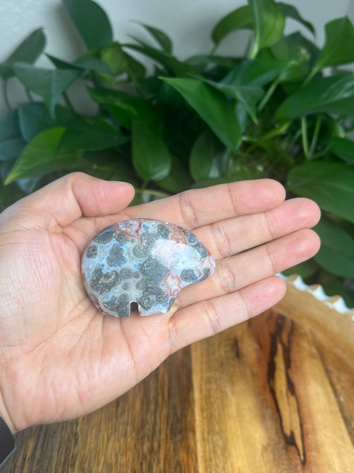 Marcasite Bear: BA