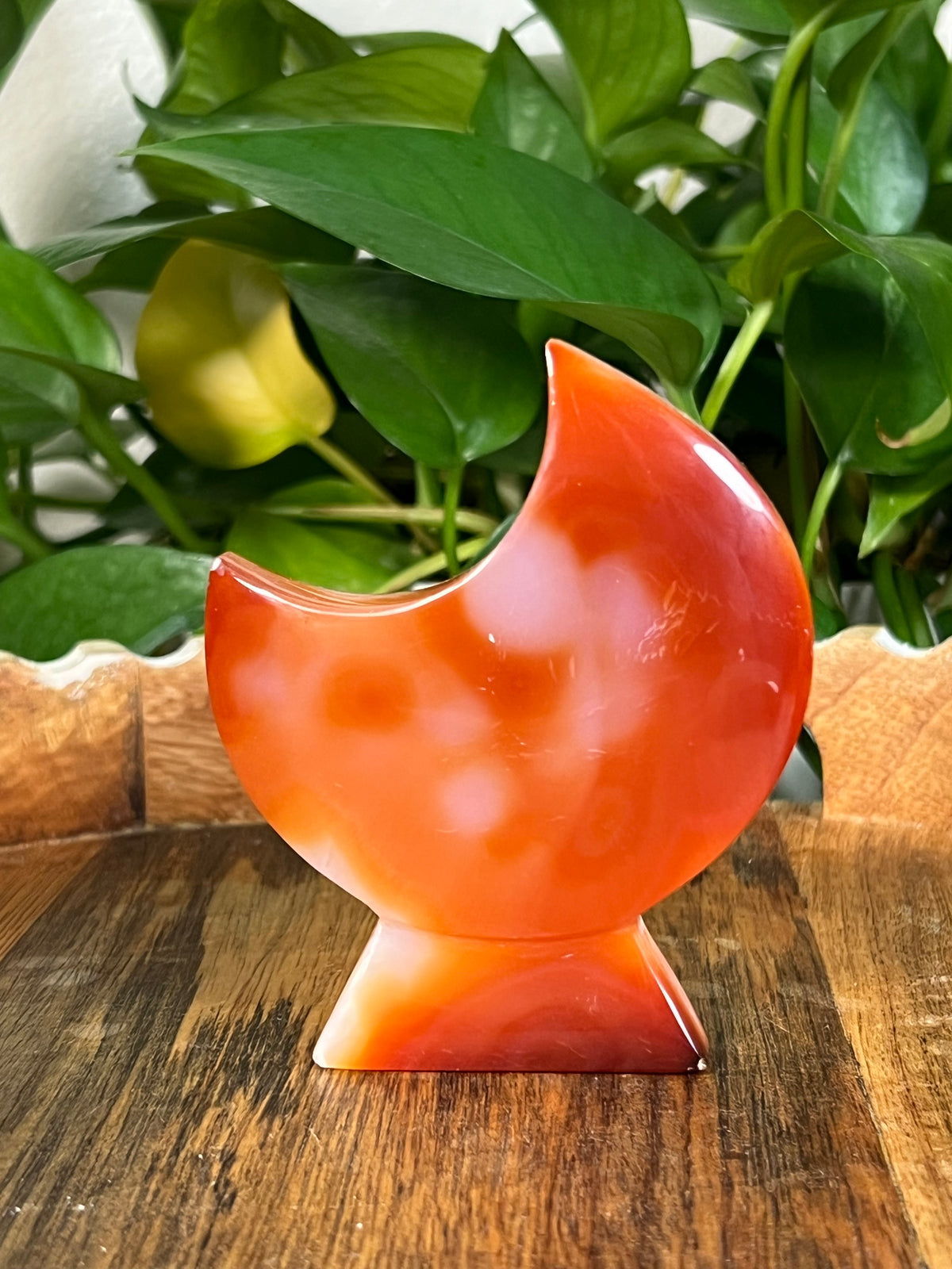Red Carnelian Self Standing Moons