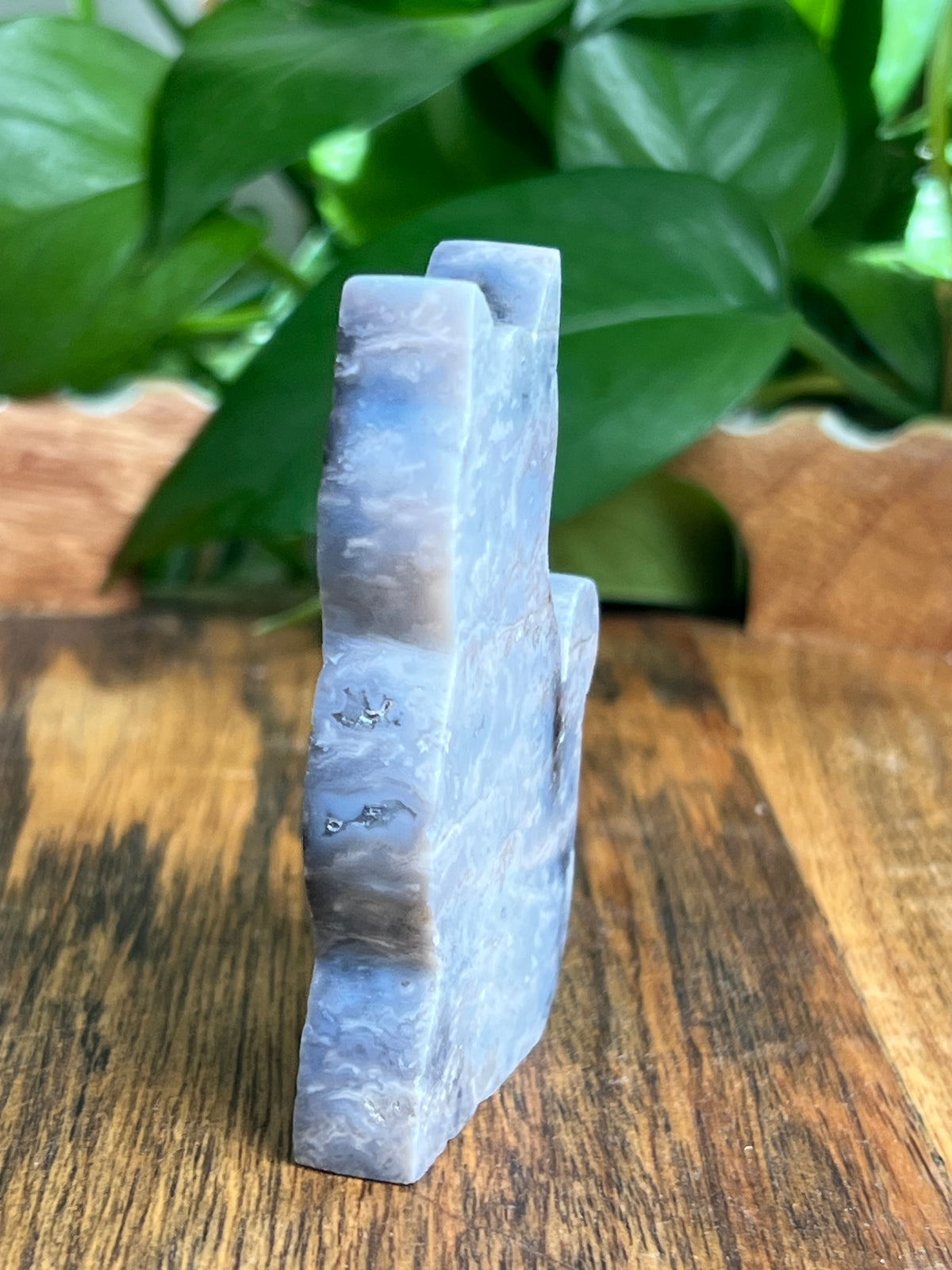 Blue Plume Agate Cat: BH