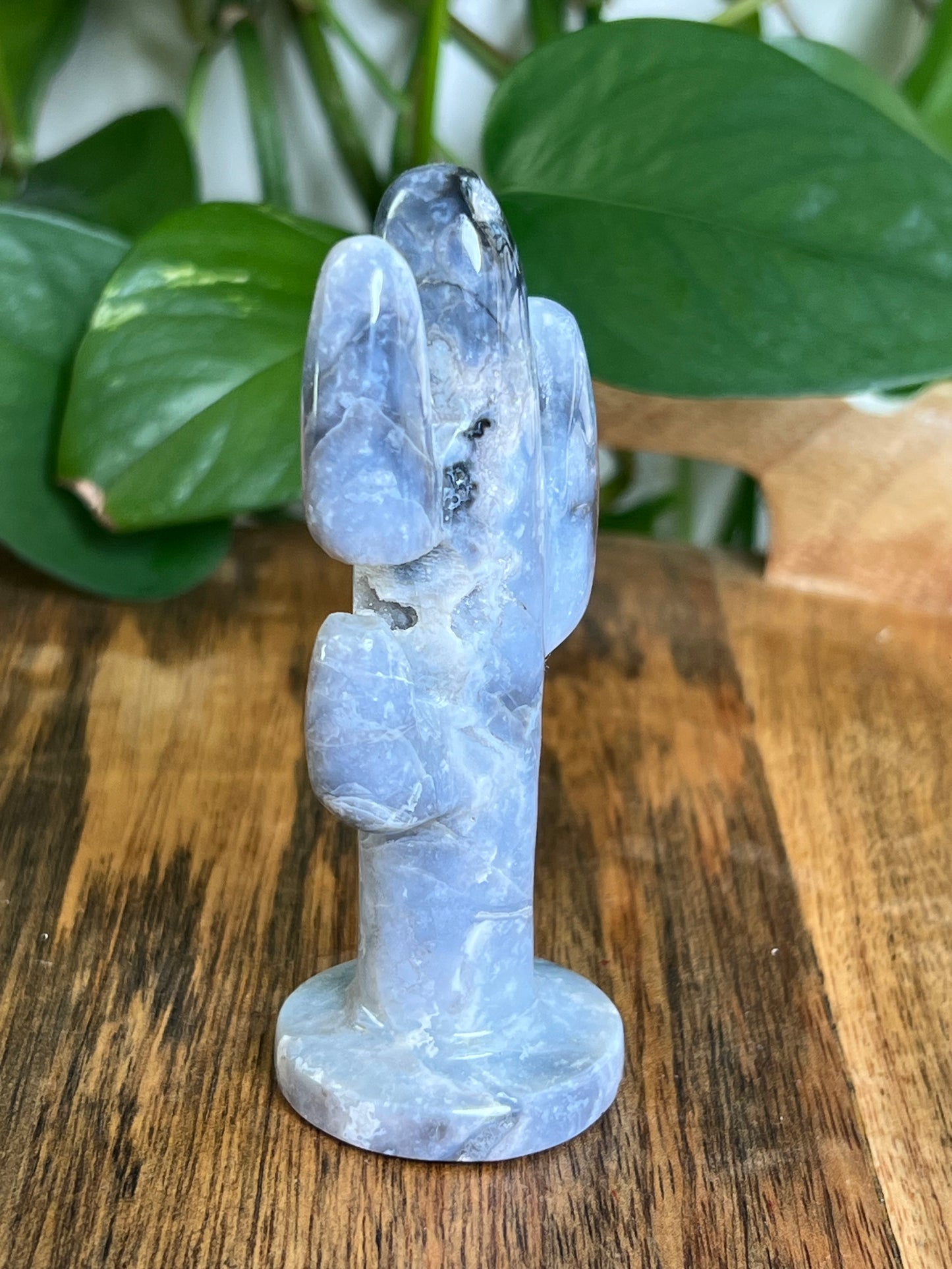 Blue Plume Agate Cactus: CB