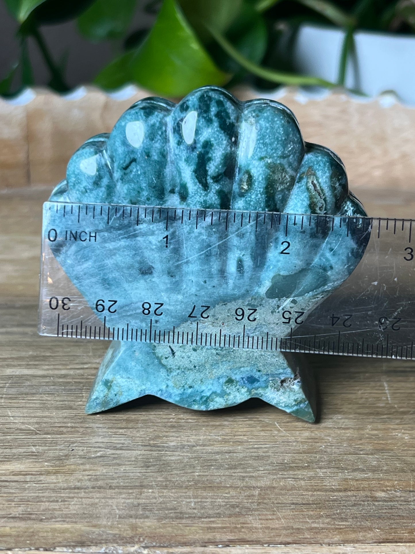 Blue Green Jasper Shell