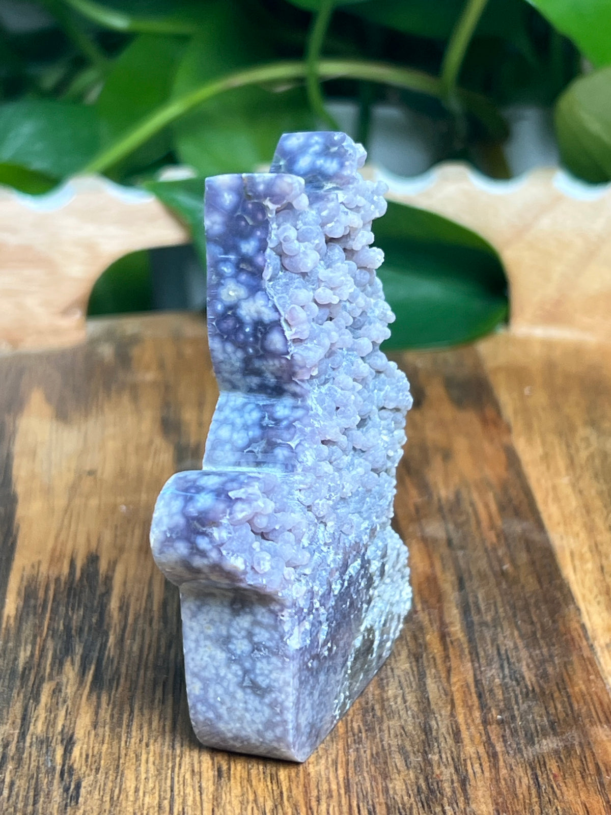 Grape Agate Cat: KS