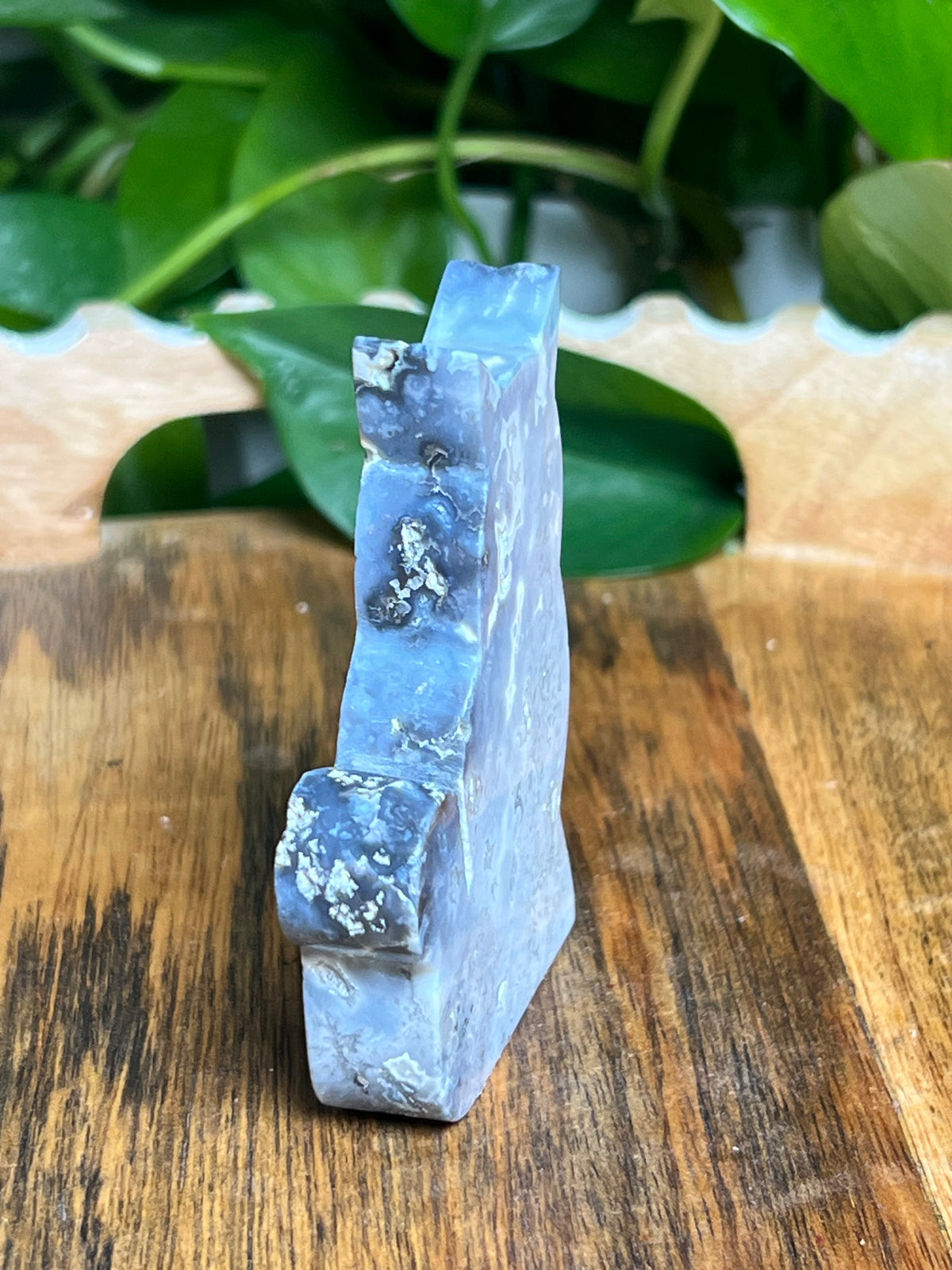 Blue Plume Agate Cat: BB