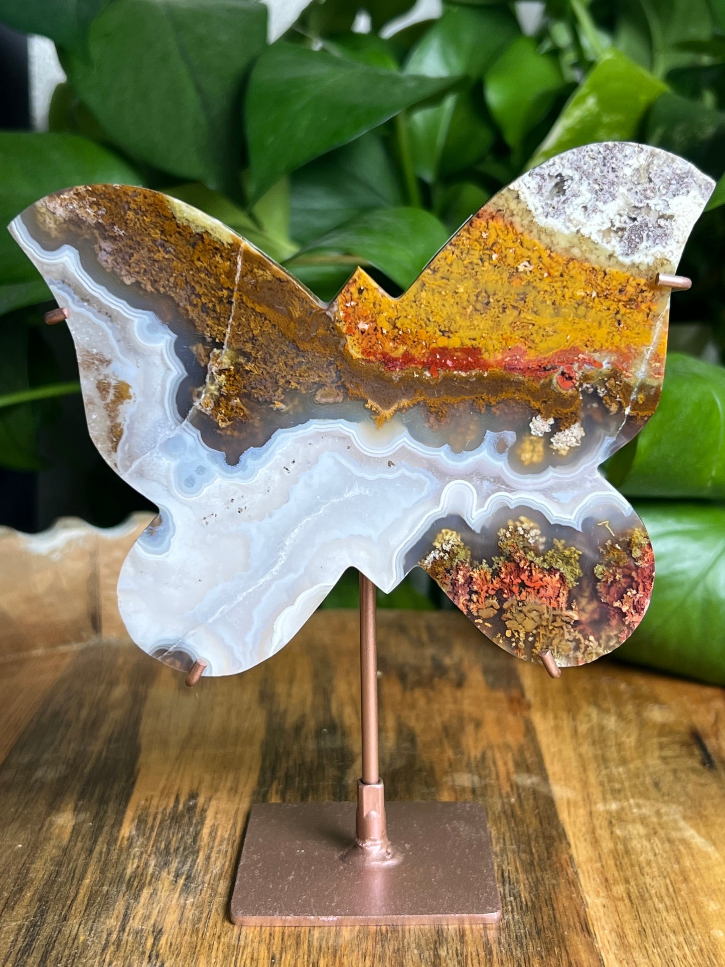 Scenic Moss Agate Butterfly