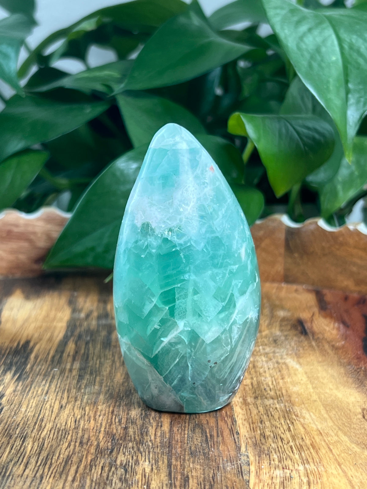 Mexican Flourite Freeform: AE