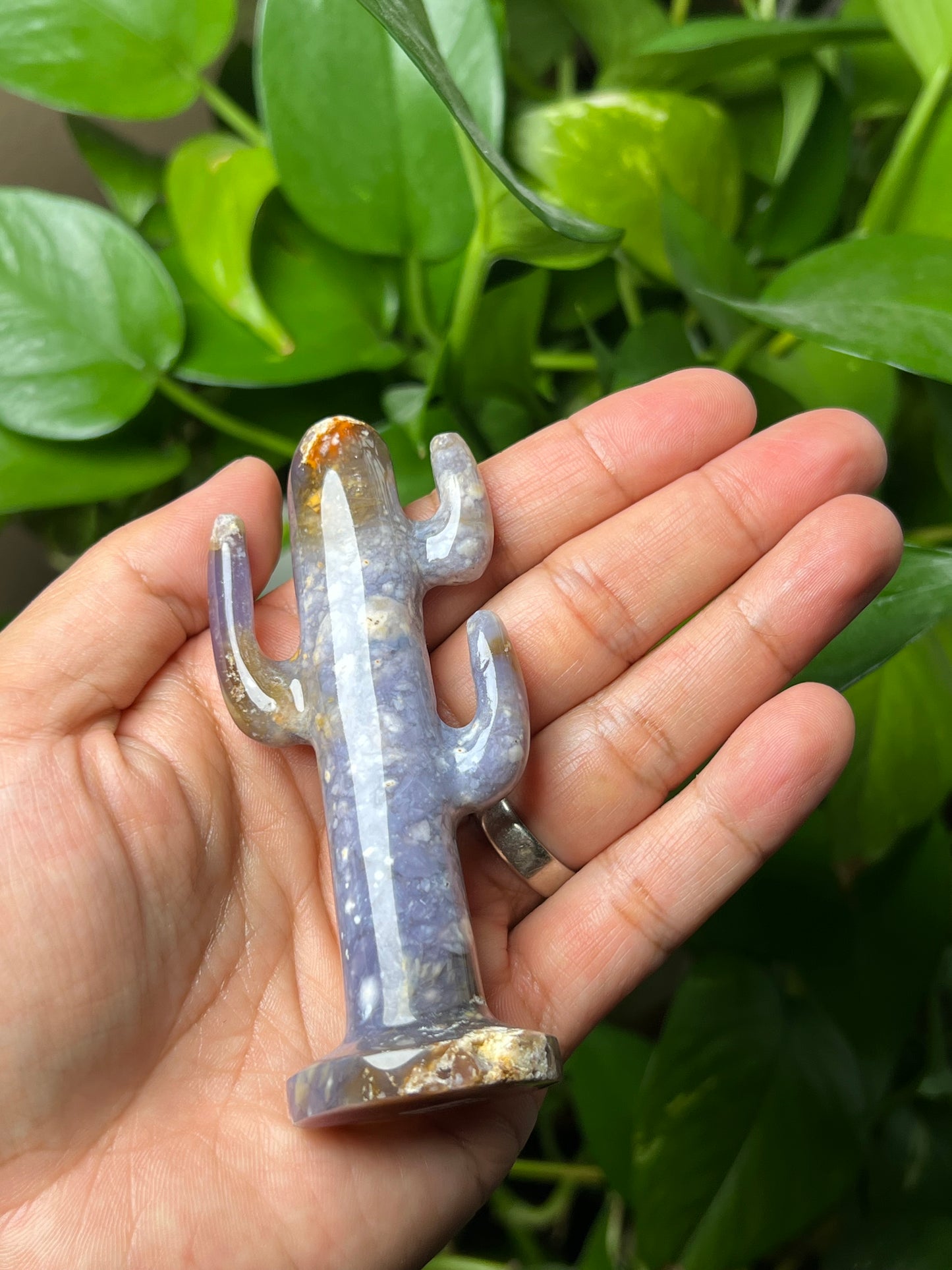 Purple Chalcedony Cactus