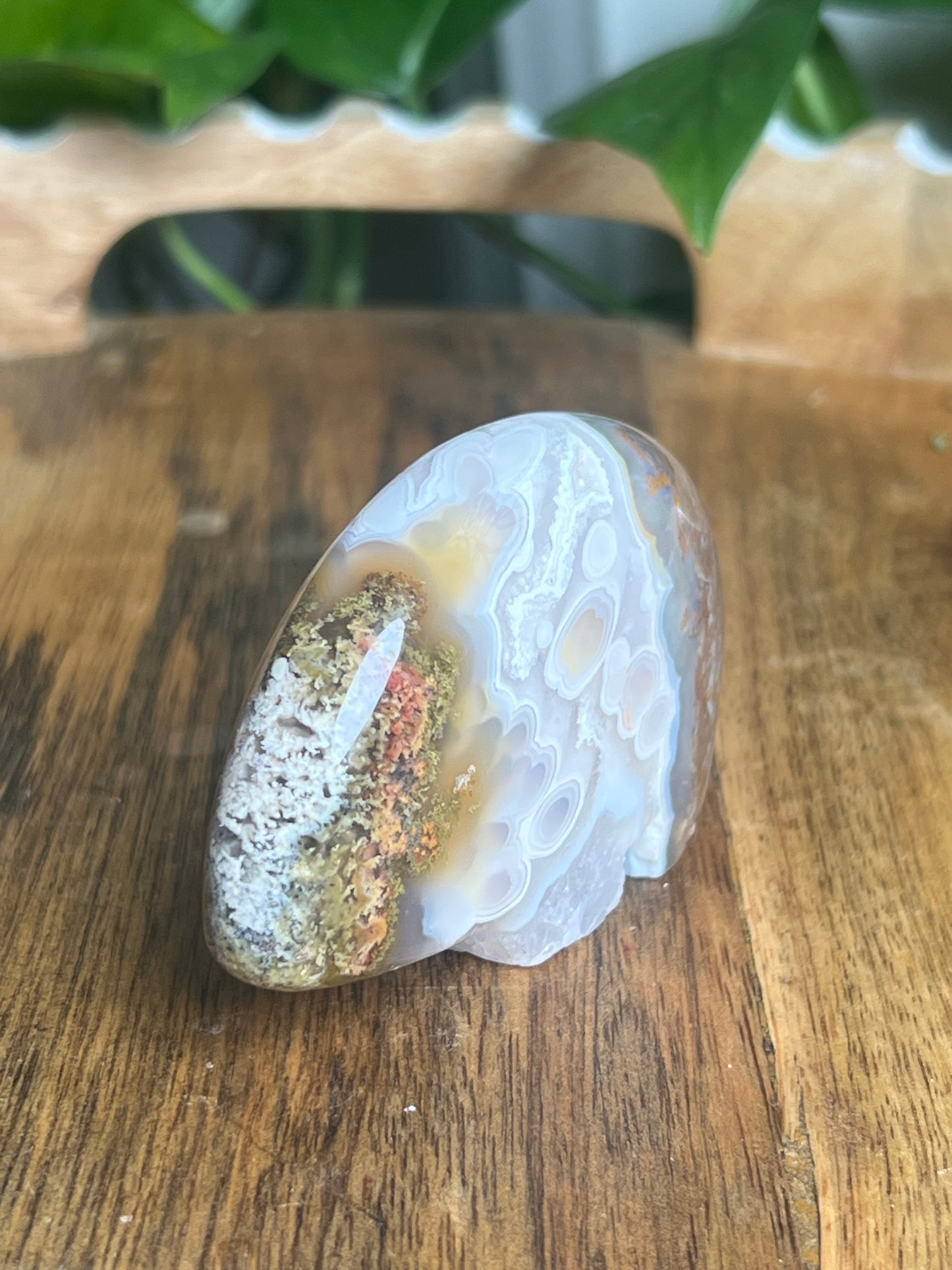 Scenic Moss Agate Bear BC