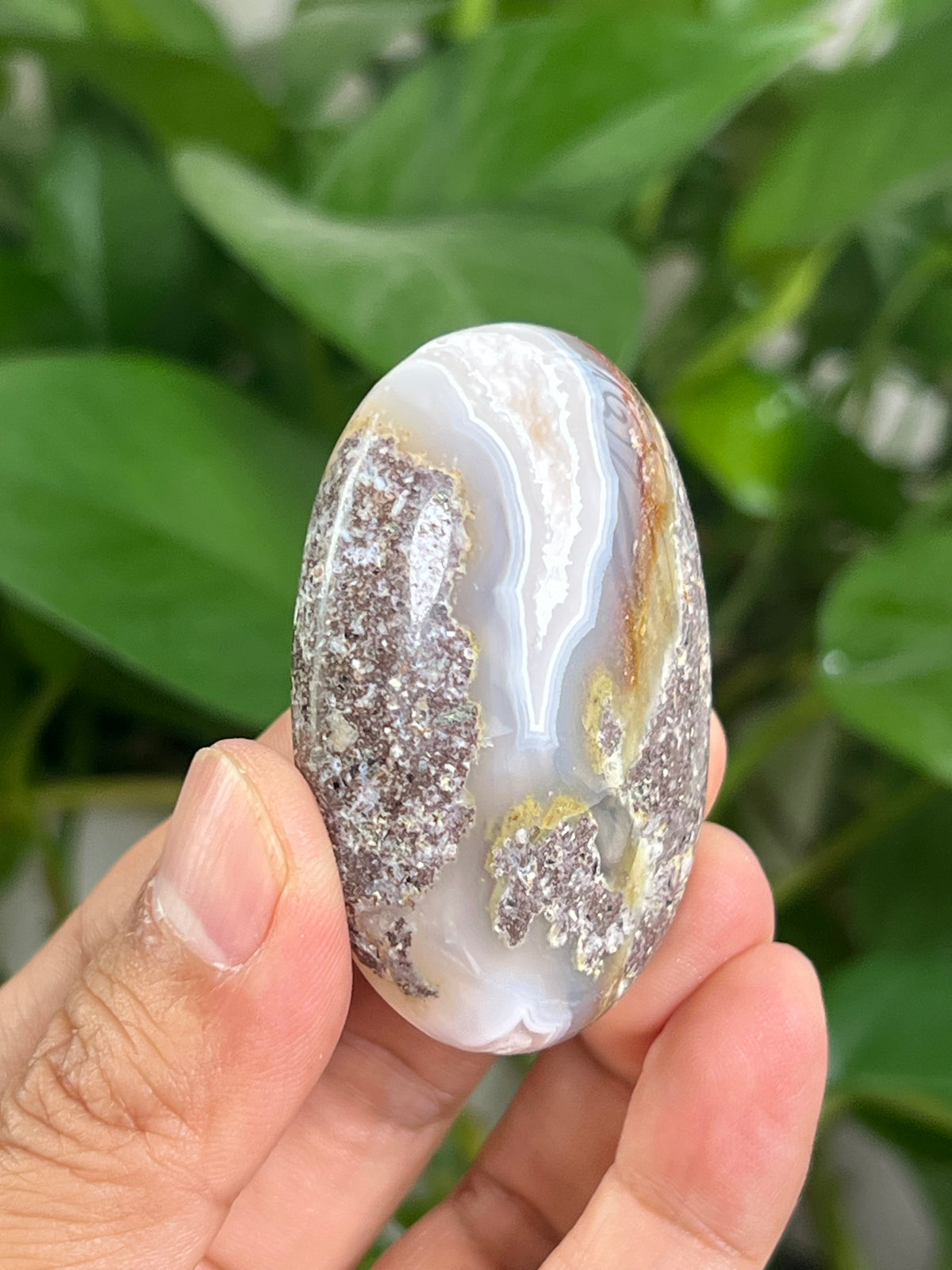 Scenic Moss Agate Palmstone: BF