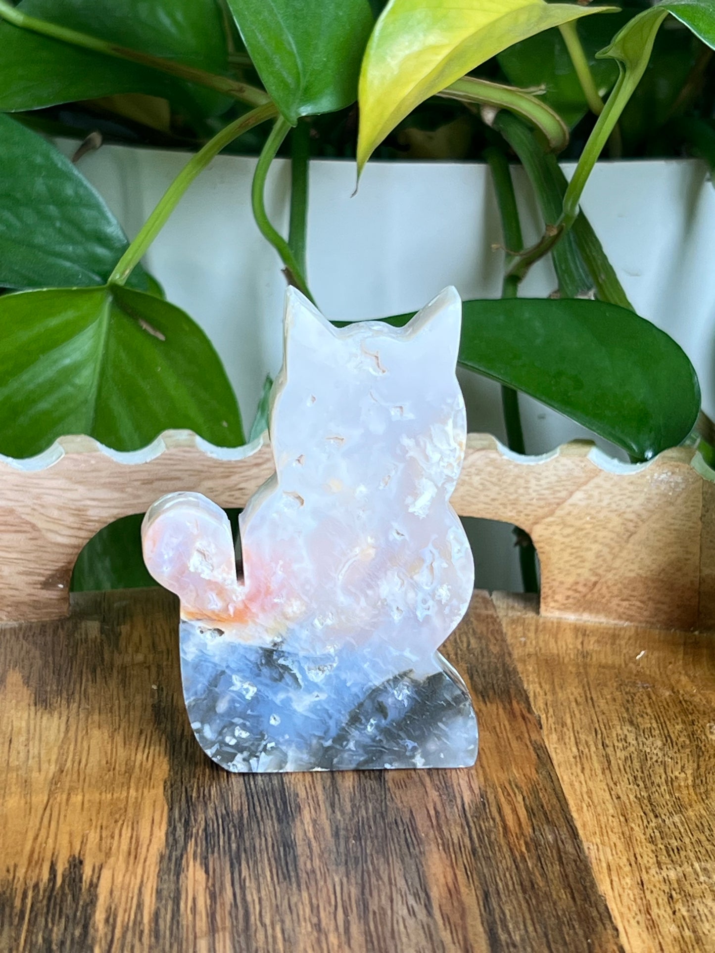 Rainbow Plume Agate Cat NX