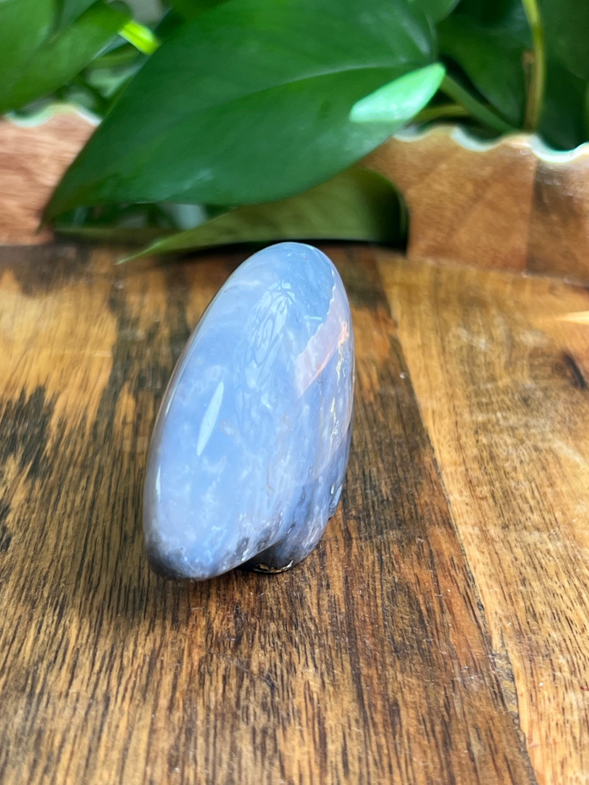 Blue Plume Agate Bear: DN