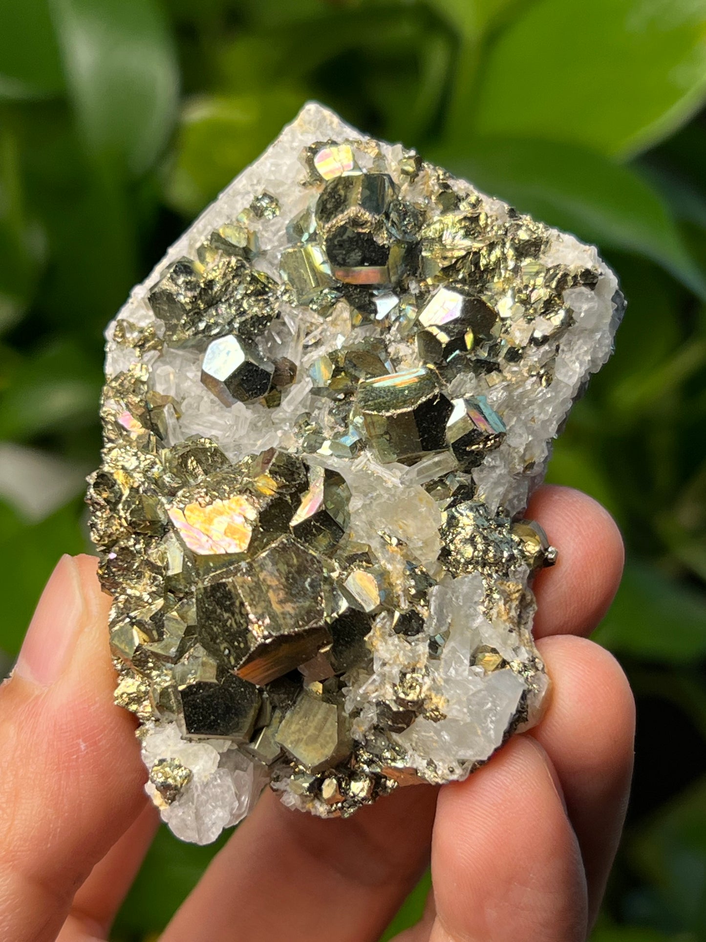 Rainbow Pyrite Quartz