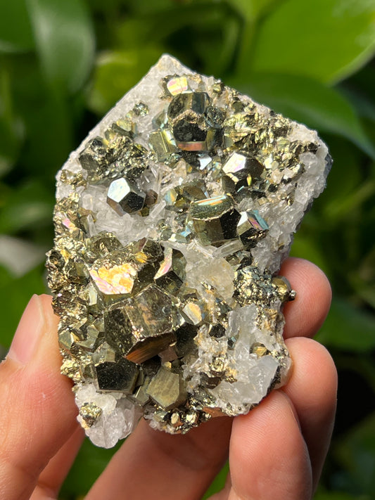 Rainbow Pyrite Quartz