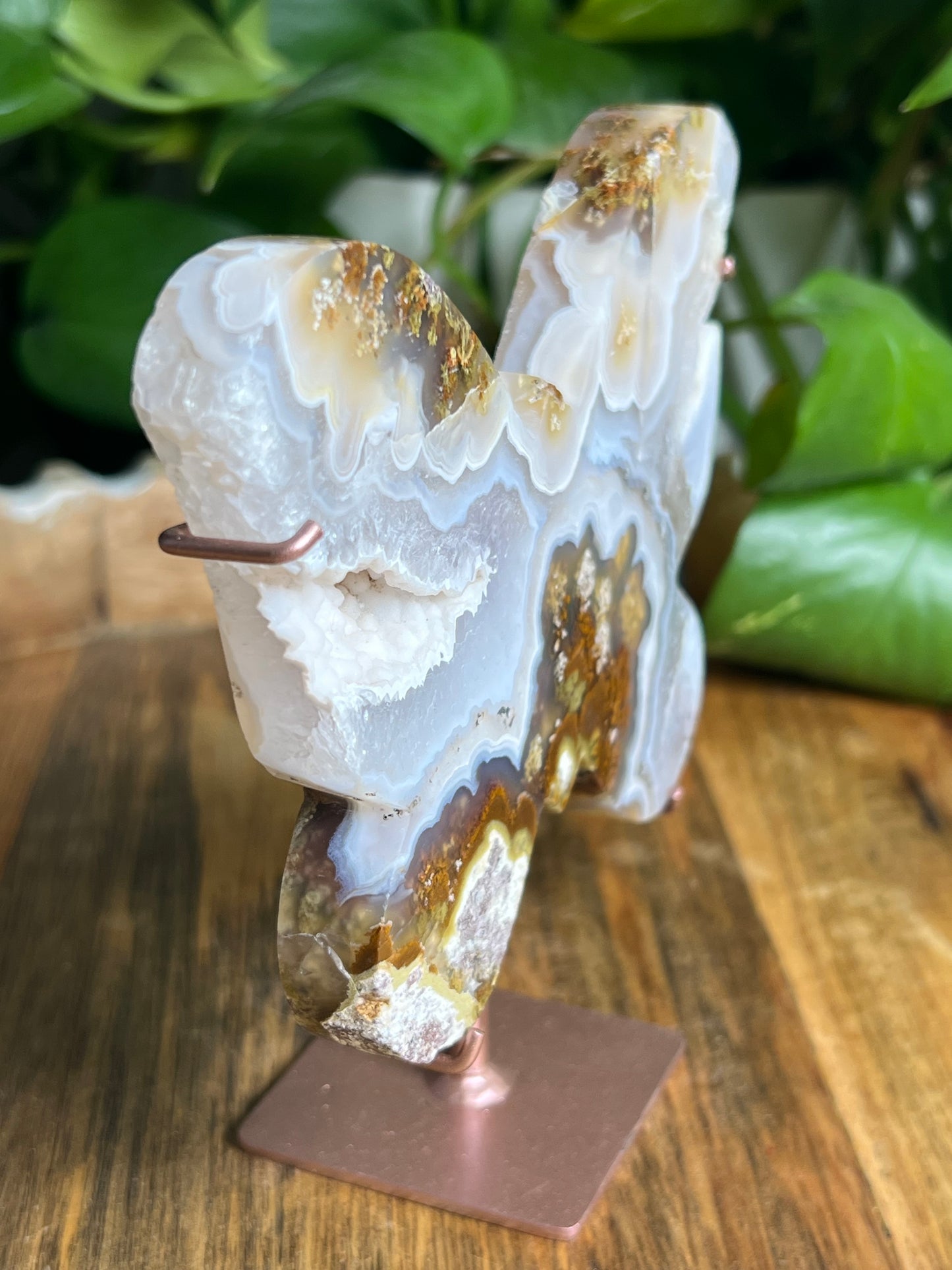 Scenic Moss Agate Butterfly
