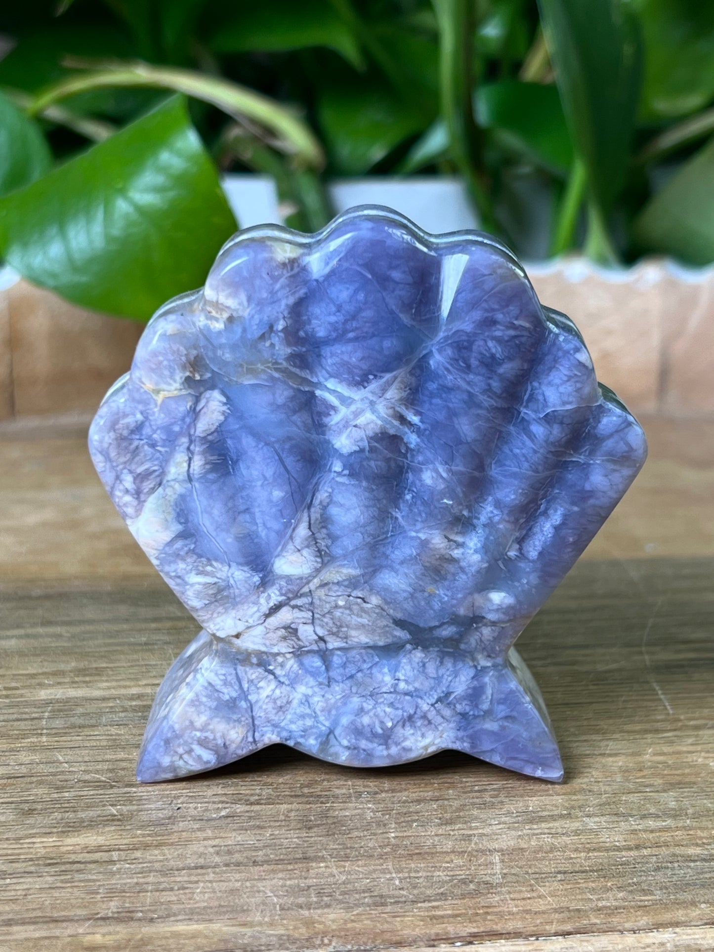 Purple Chalcedony Shell