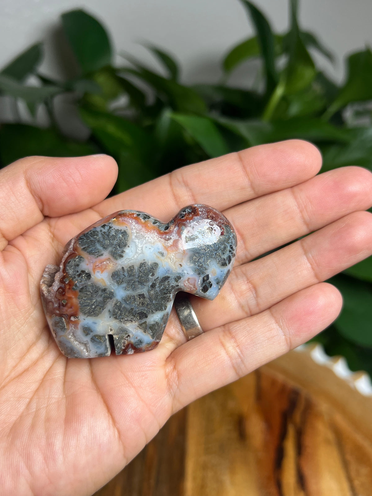 Marcasite Mini Buffalo: ME