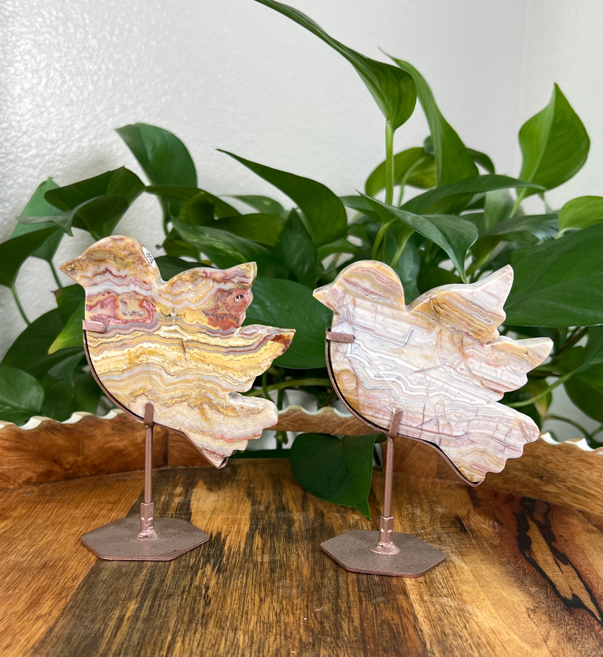 Crazy Lace Agate Birds