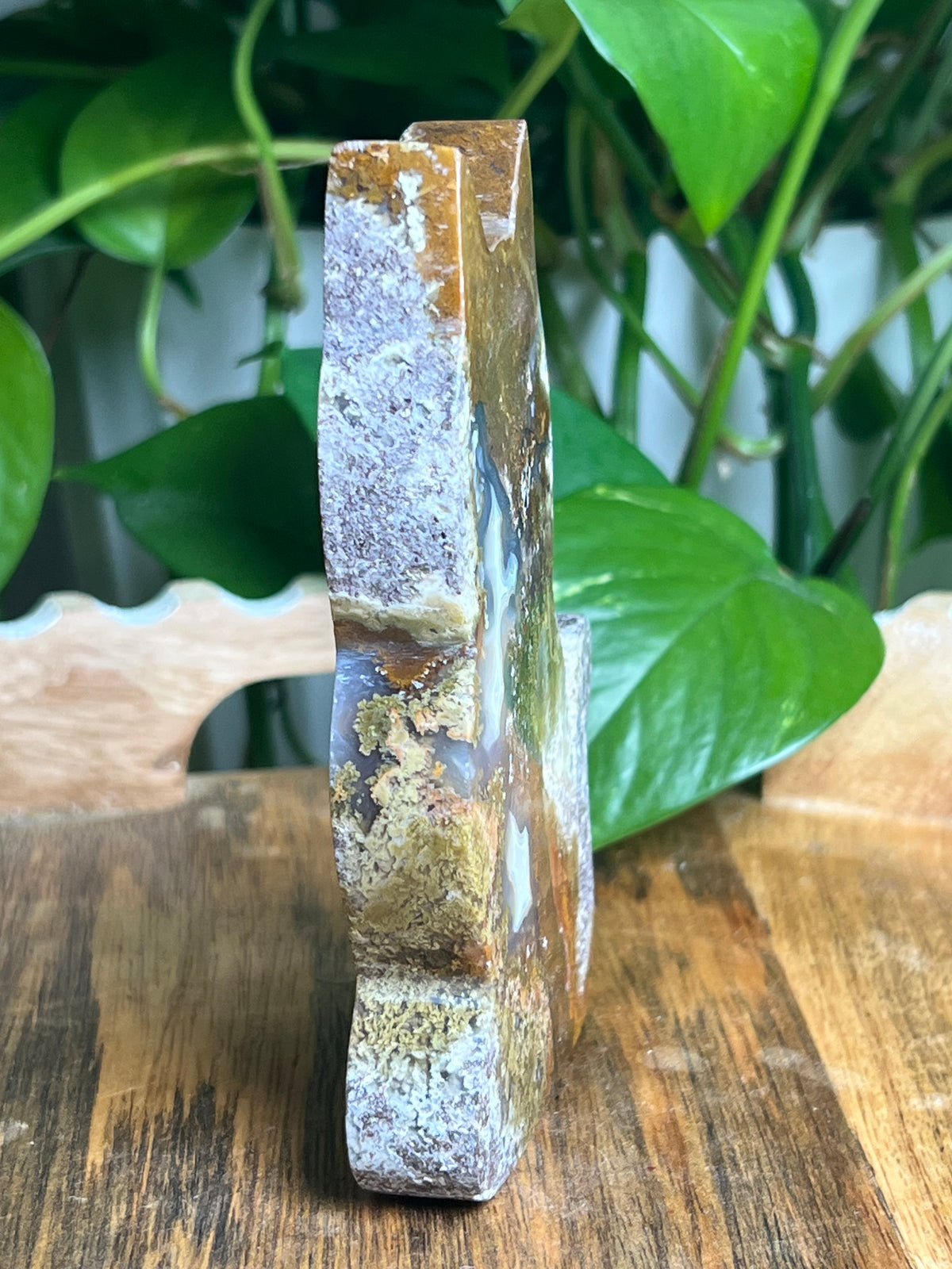 Scenic Moss Agate Cat: AC