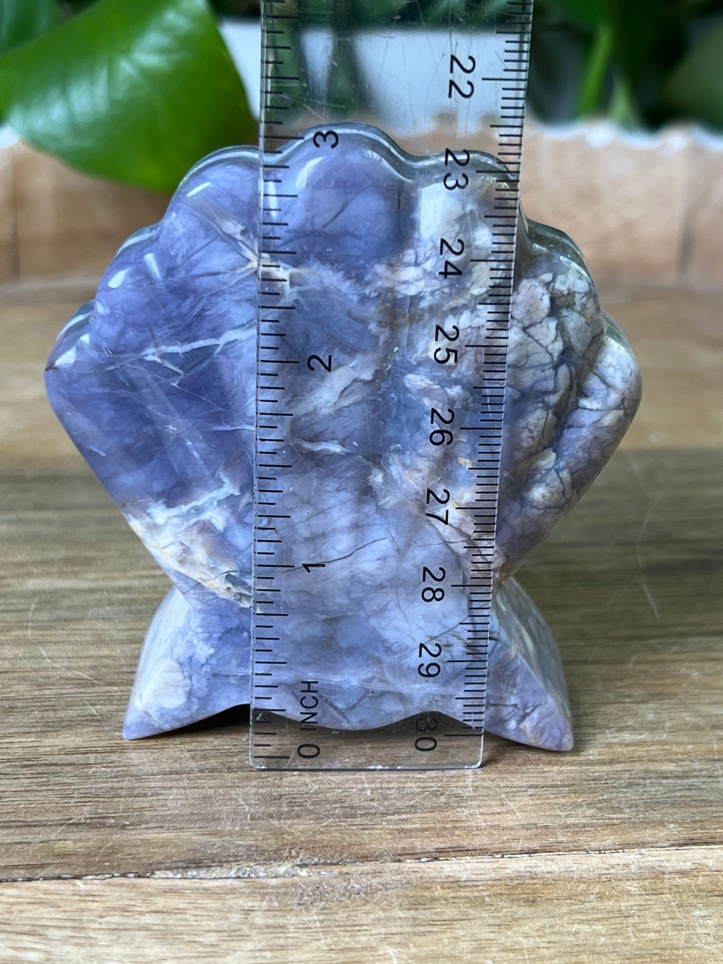 Purple Chalcedony Shell