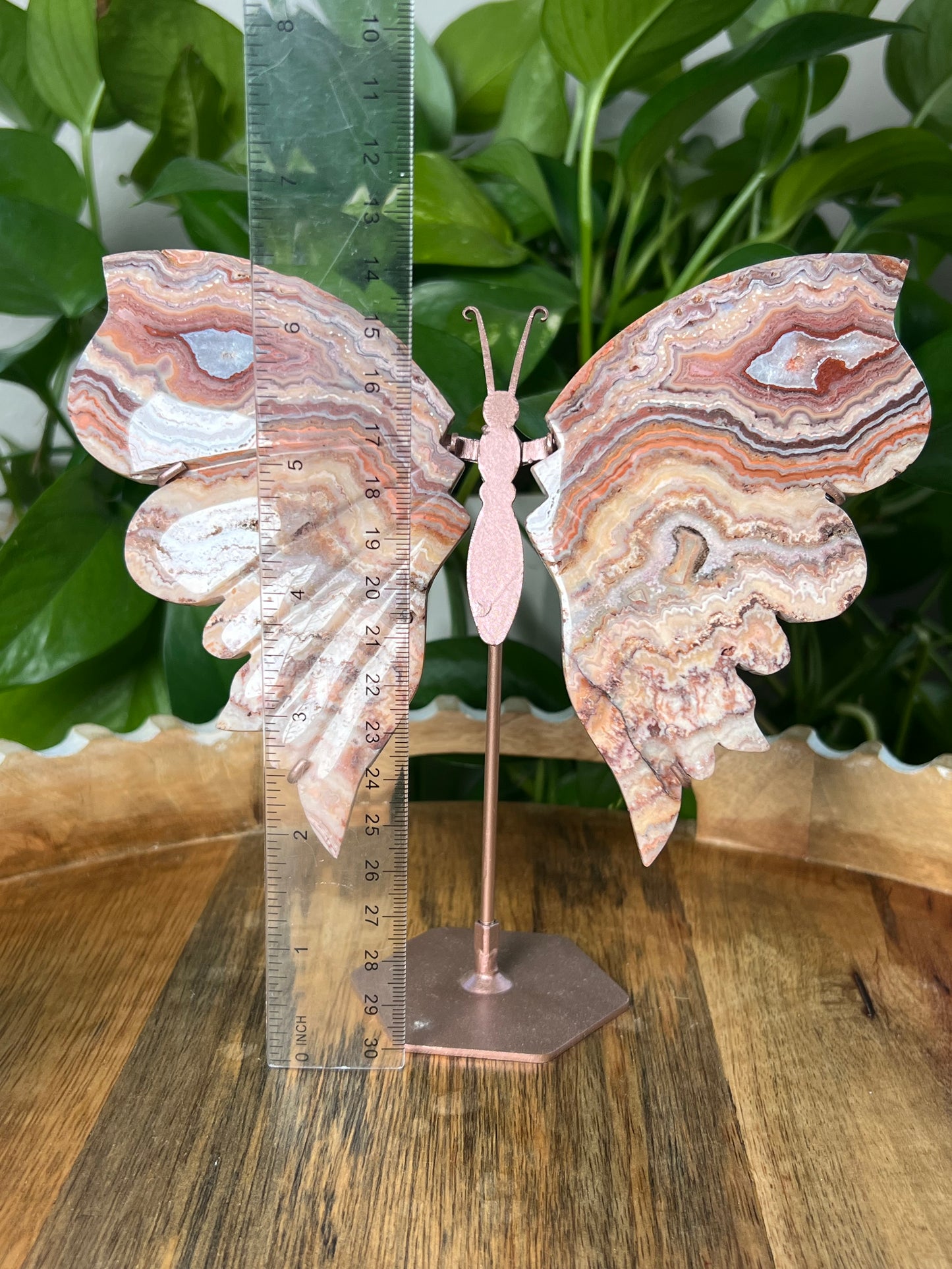 Crazy Lace Agate Wings