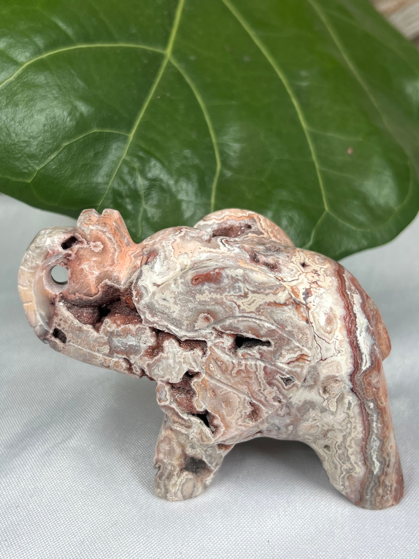 Crazy Lace Agate Elephant