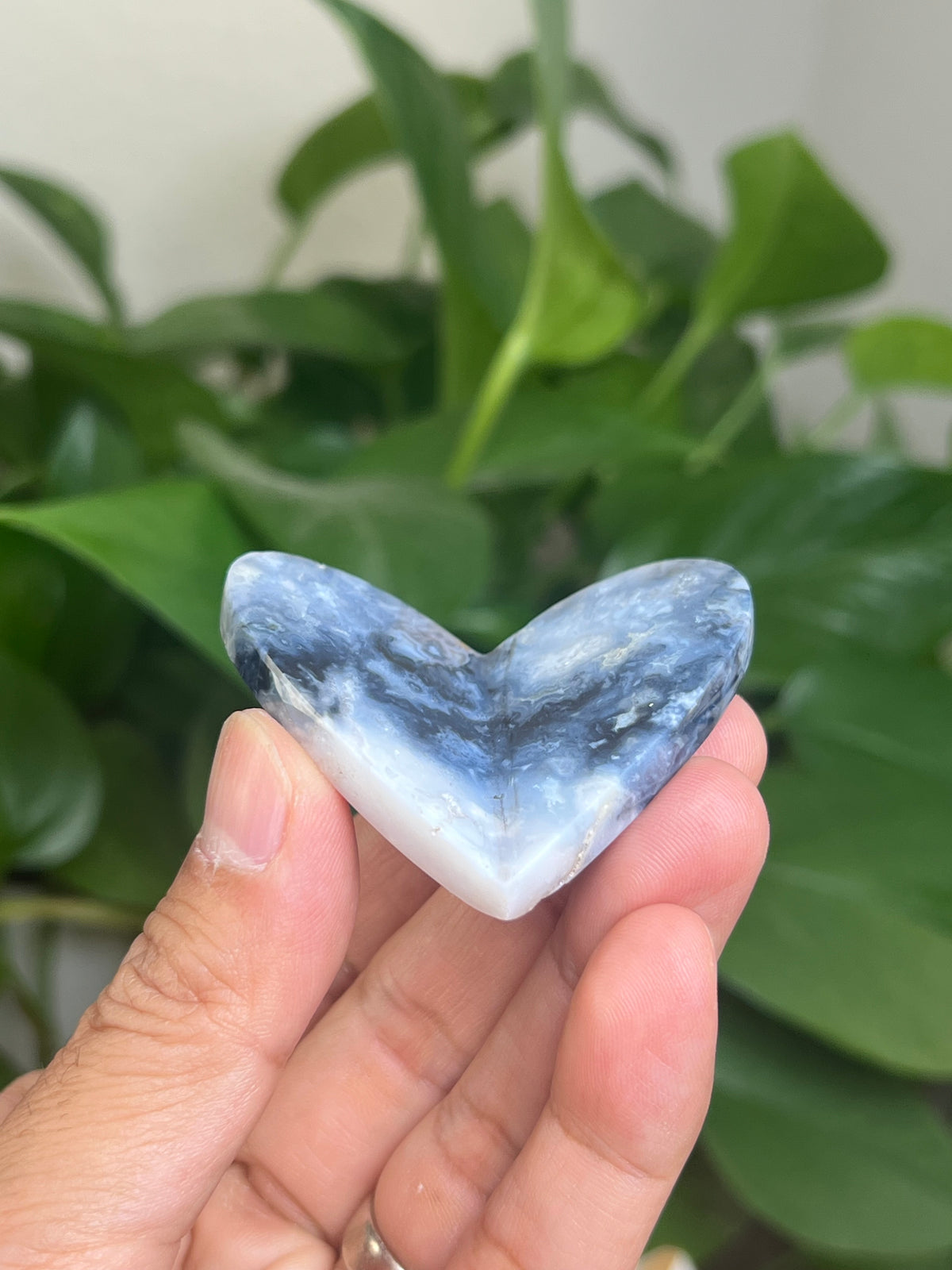 Blue Plume Agate 3D Butterfly: HE