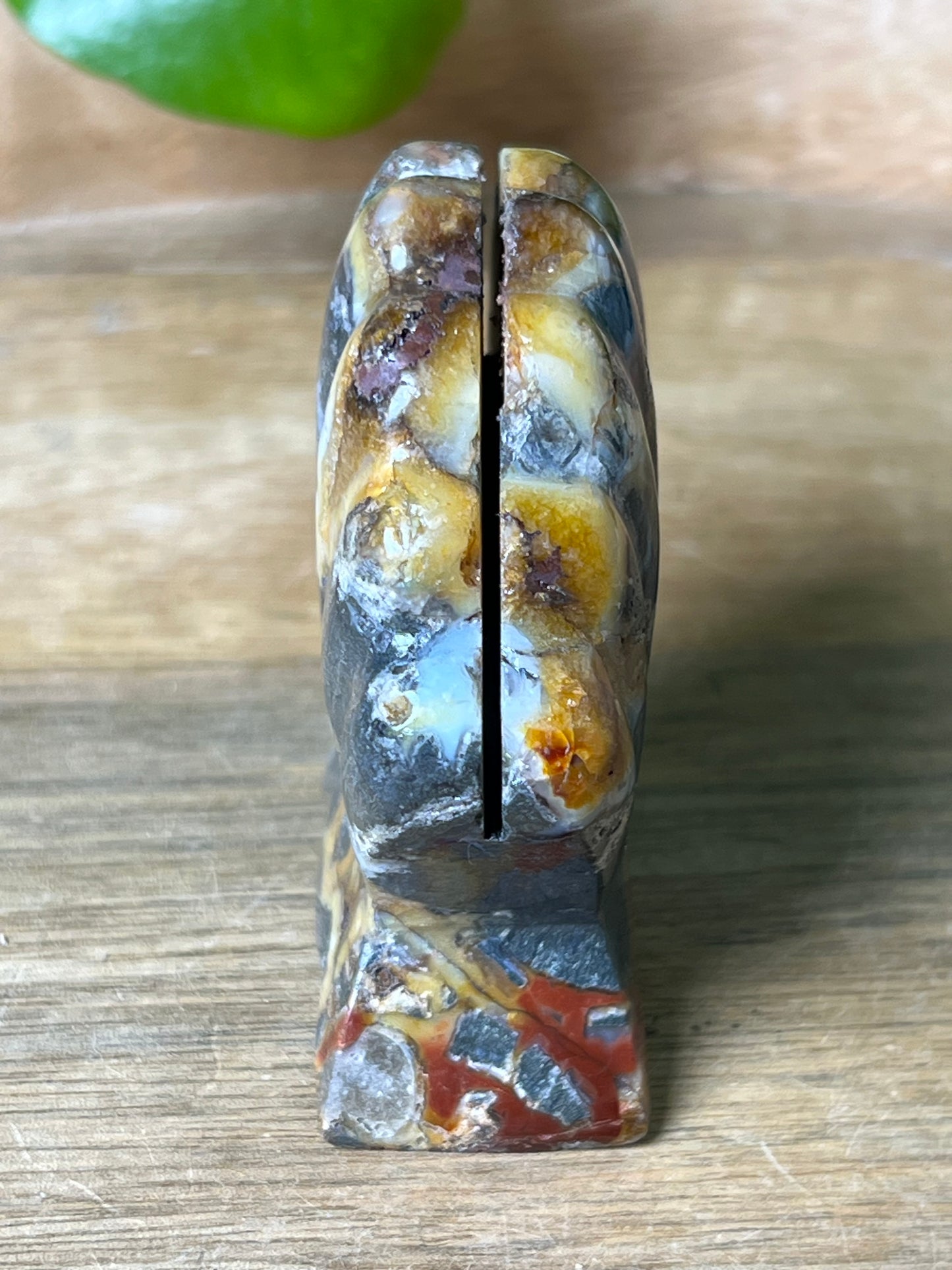 Marcasite Shell