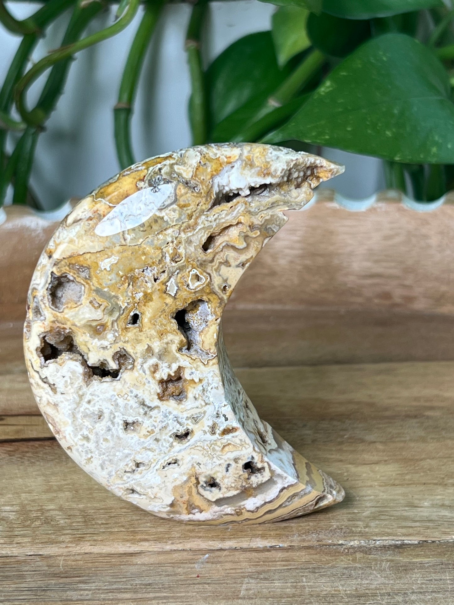 Crazy Lace Agate Moon