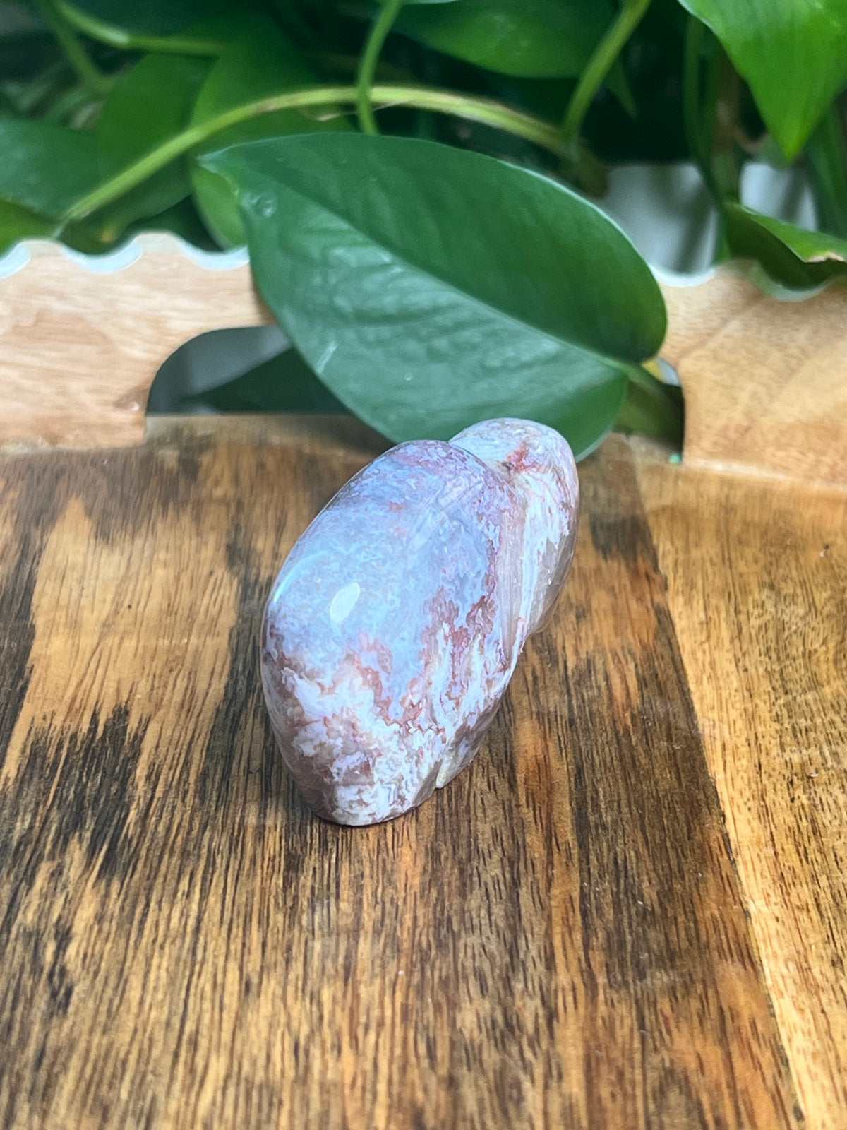 Sumatra Plume Agate Mini Buffalo: DQ