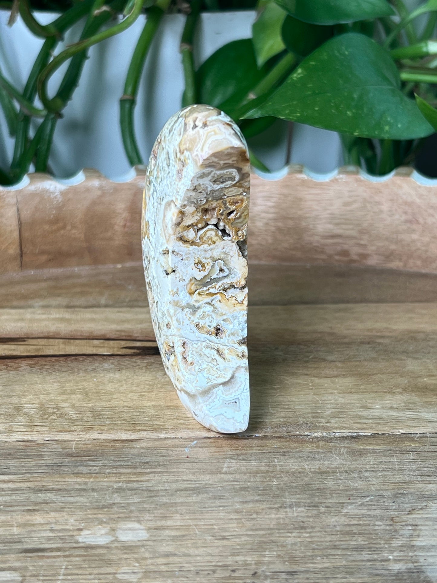 Crazy Lace Agate Moon