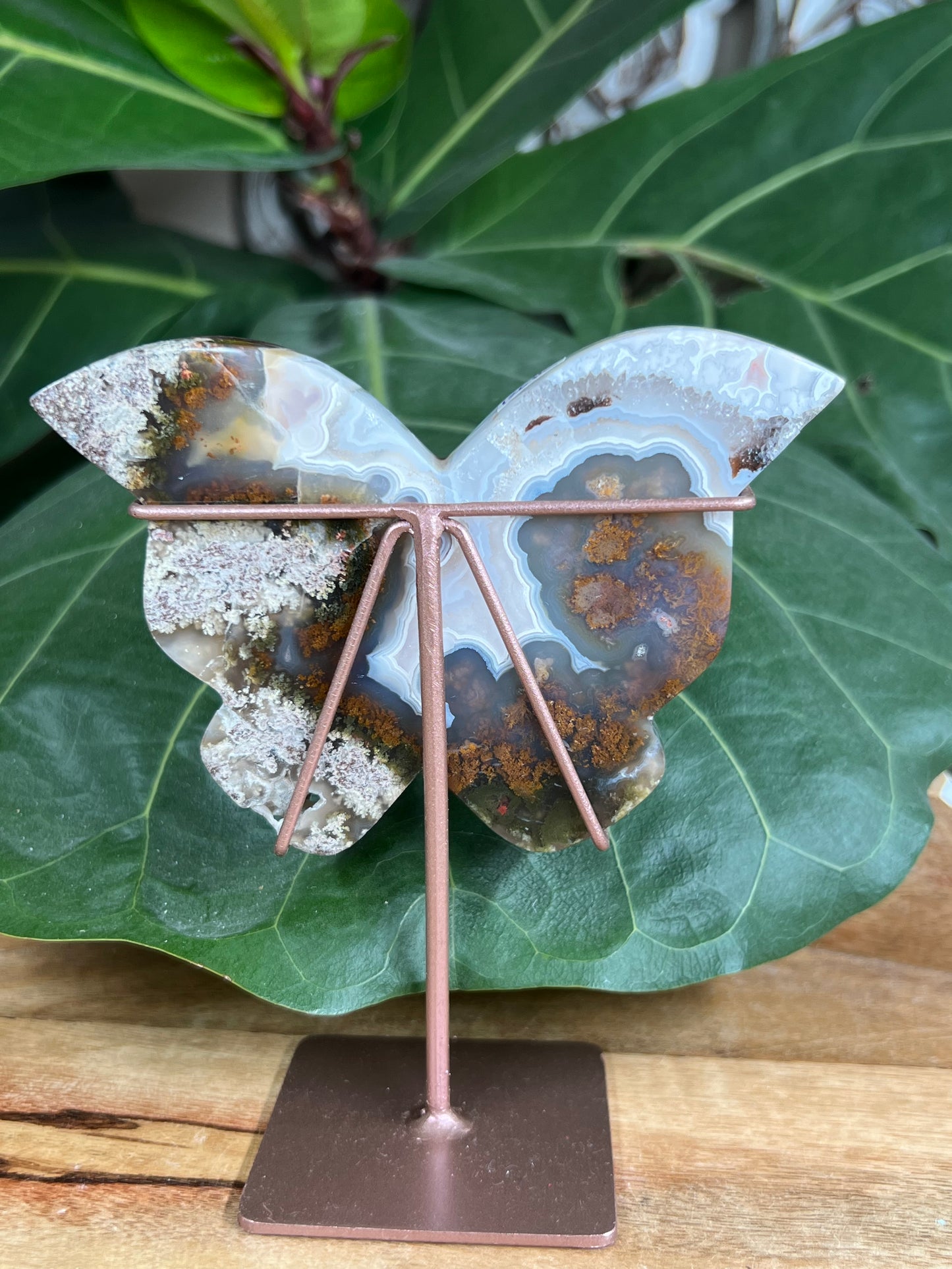 Scenic Moss Agate Butterfly