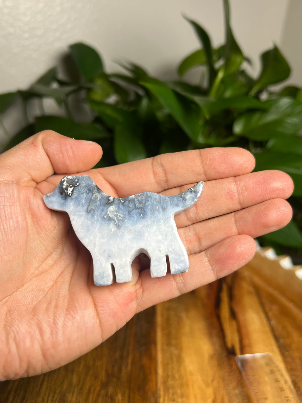 Blue Plume Agate Dog: BA