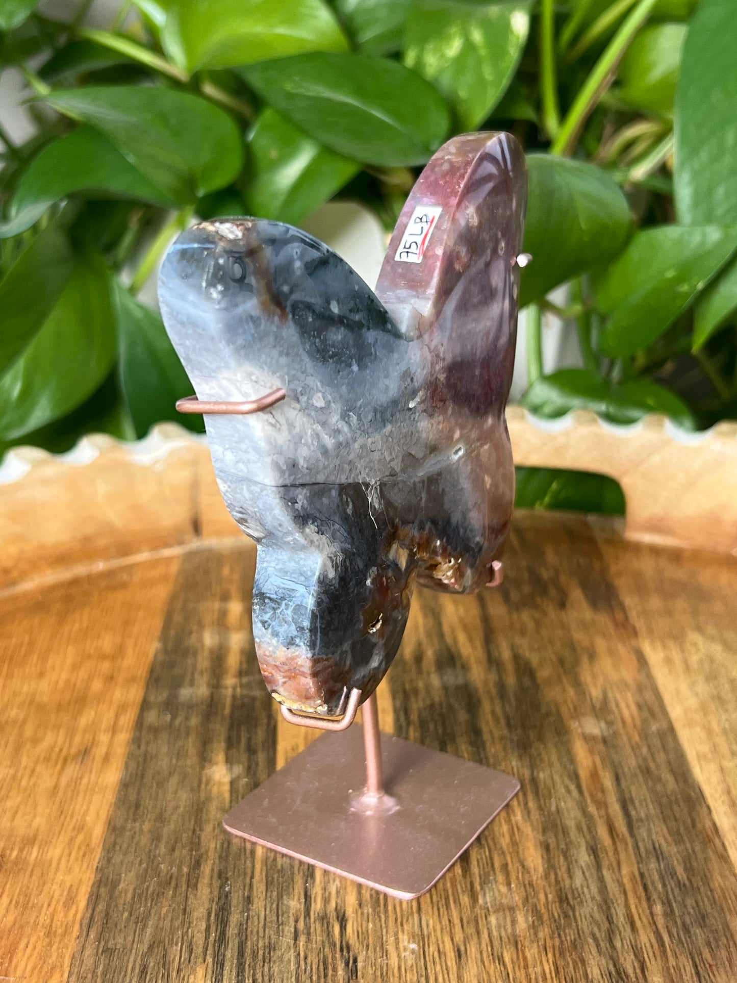 River Jasper Butterfly