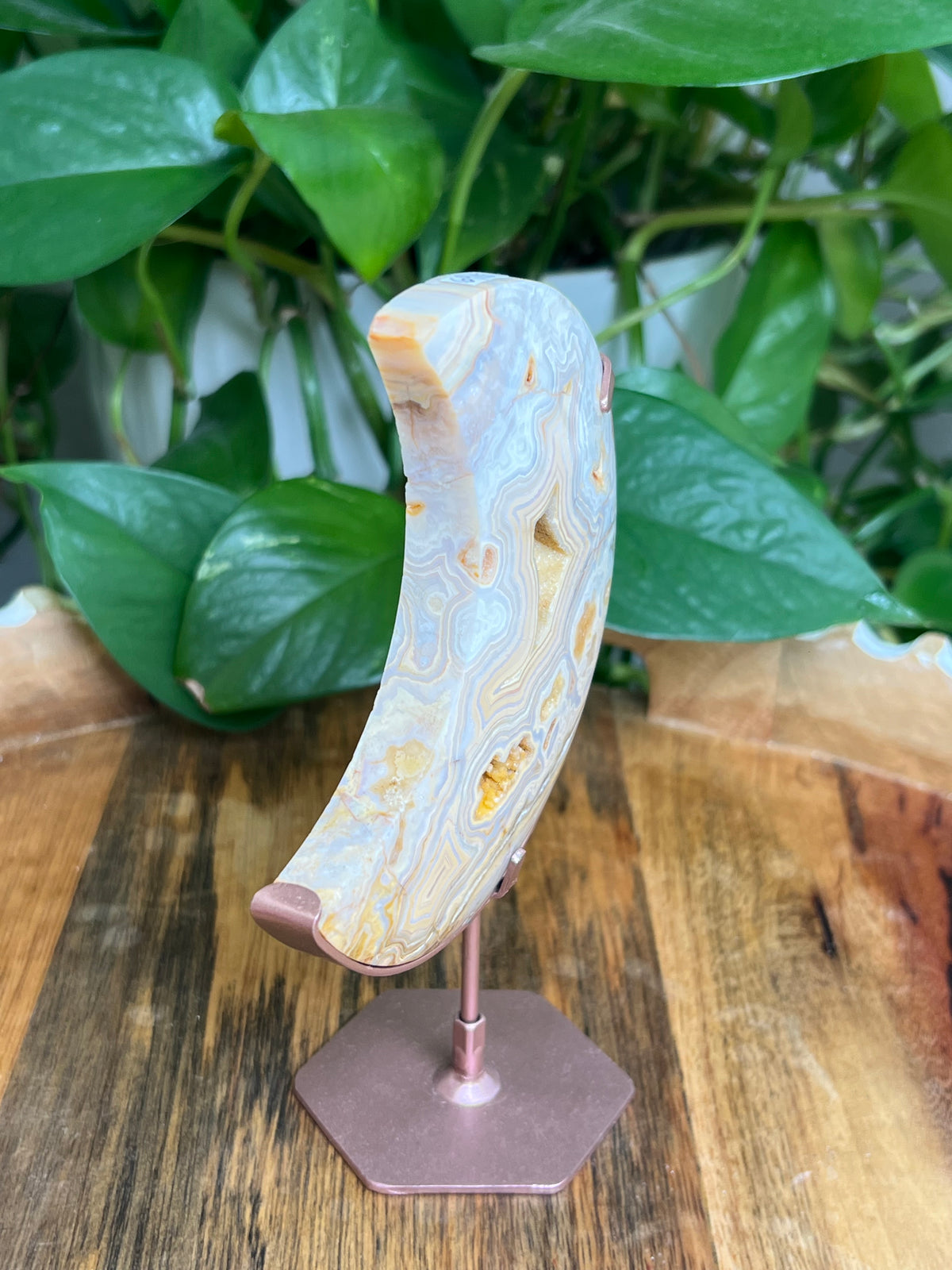 Yellow Crazy Lace Agate Moon: