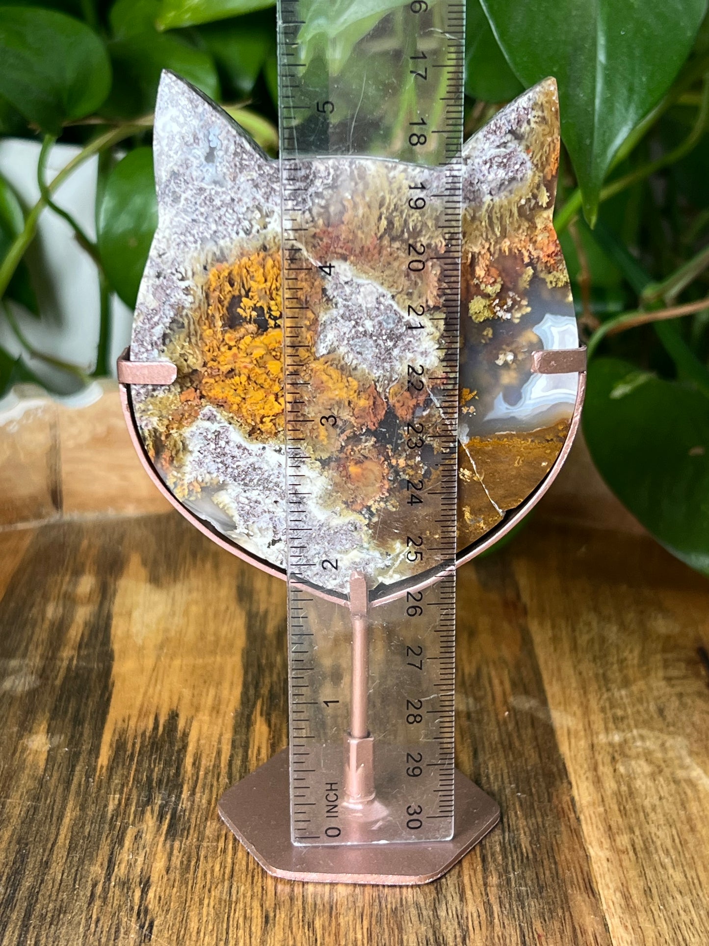 Scenic Moss Agate Cat Head