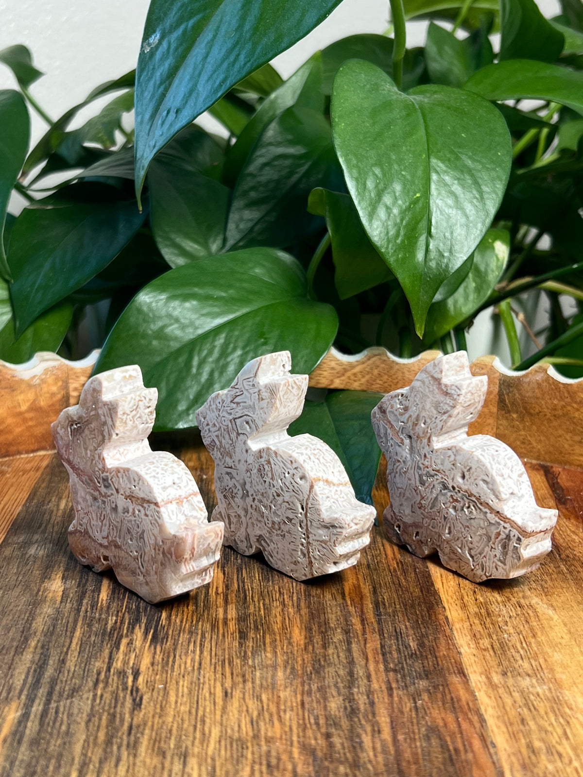 Tube Agate Bunnies